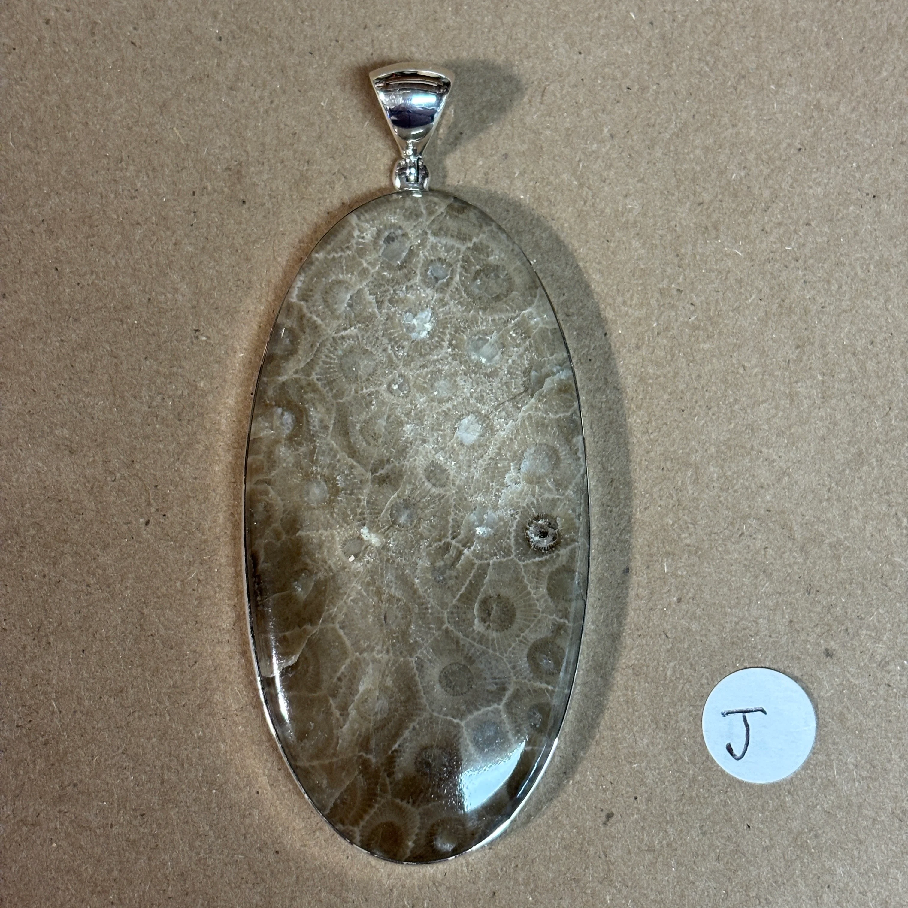 Petoskey Stone Necklace Pendant Encased in Sterling Silver Oval Shape - Image 13