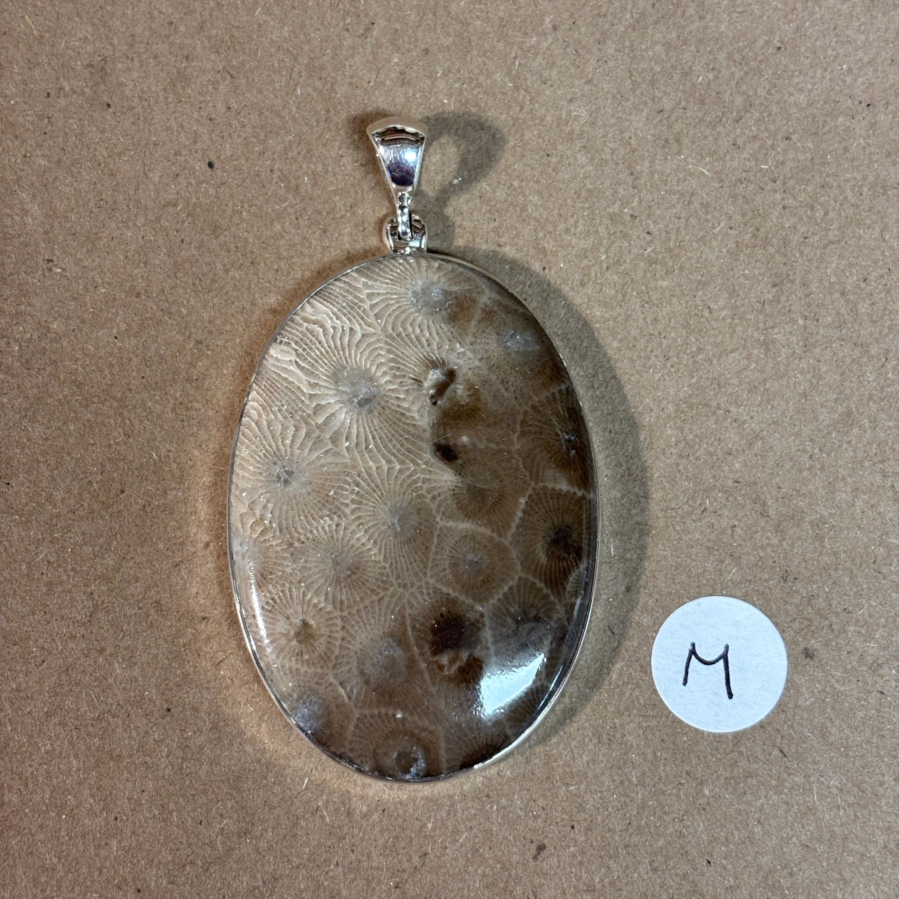 Petoskey Stone Necklace Pendant Encased in Sterling Silver Oval Shape - Image 14