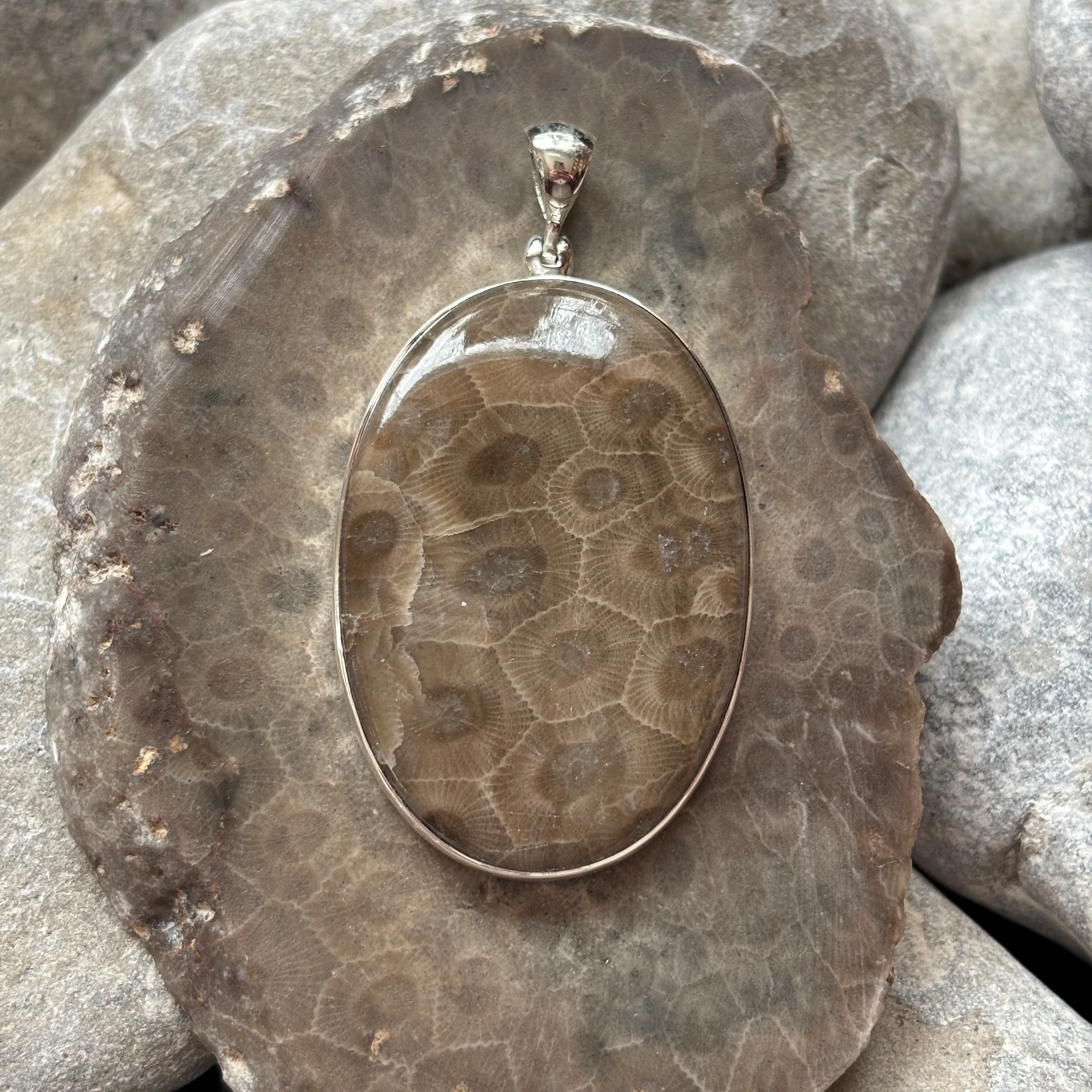 Petoskey Stone Necklace Pendant Encased in Sterling Silver Oval Shape - Image 3