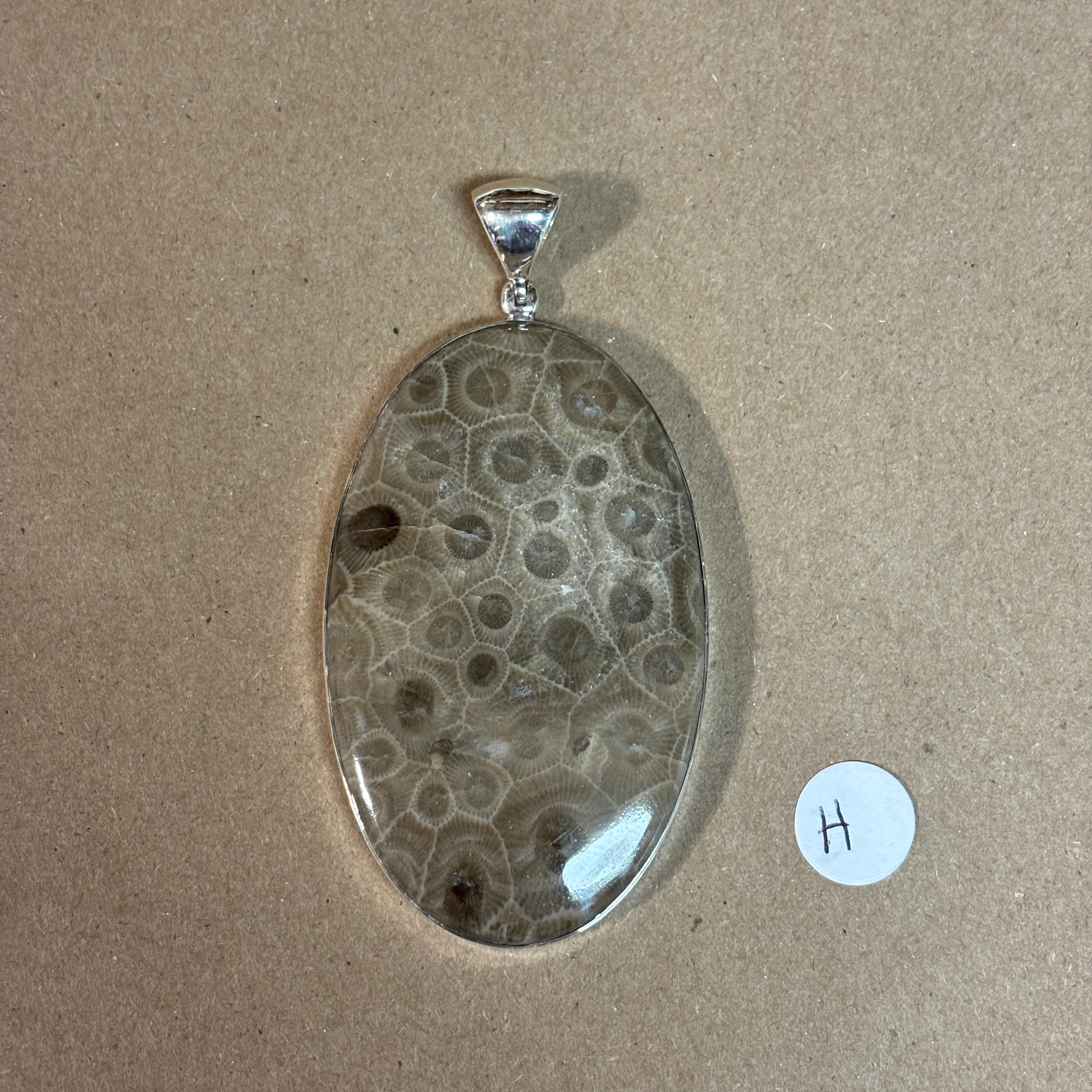 Petoskey Stone Necklace Pendant Encased in Sterling Silver Oval Shape - Image 6