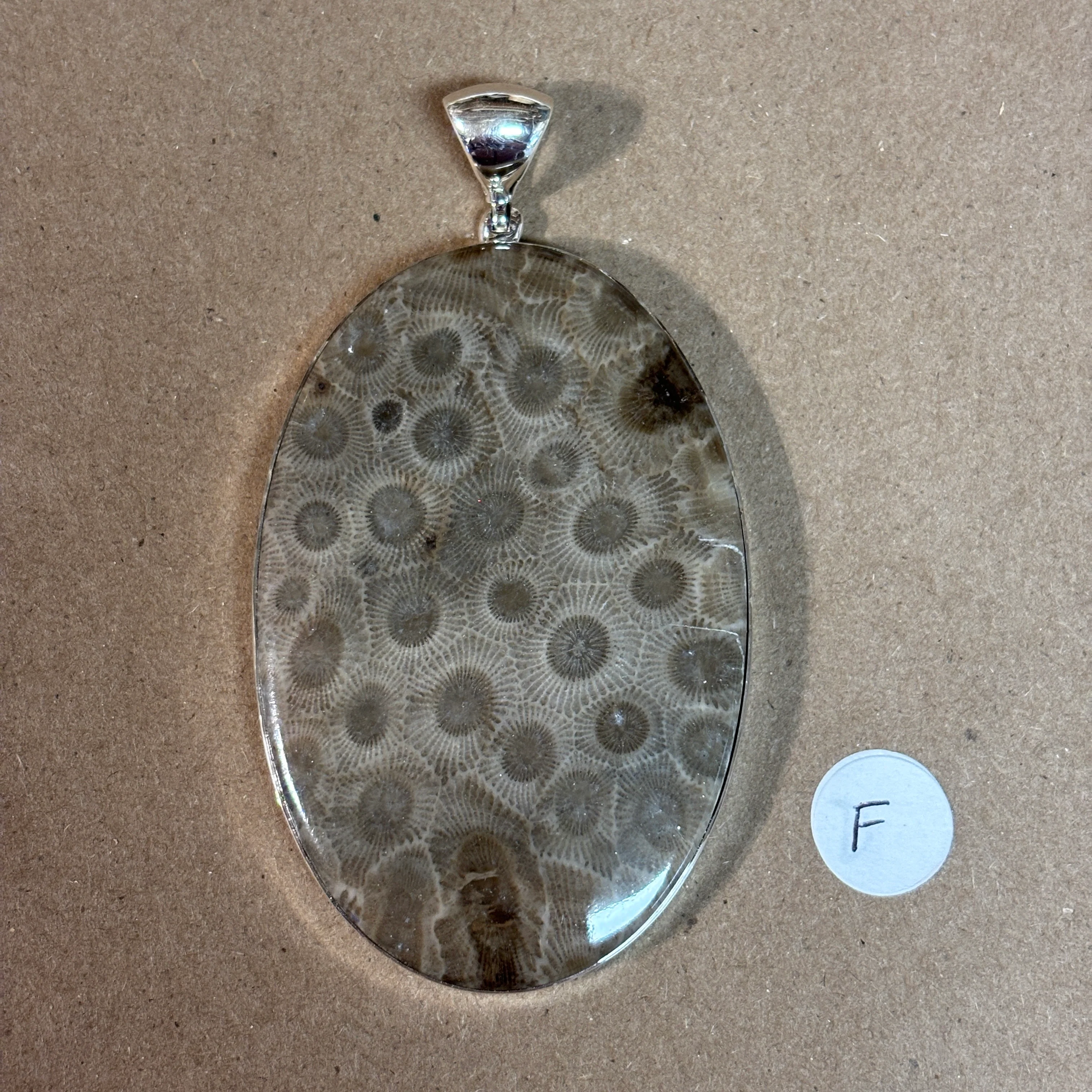 Petoskey Stone Necklace Pendant Encased in Sterling Silver Oval Shape - Image 8