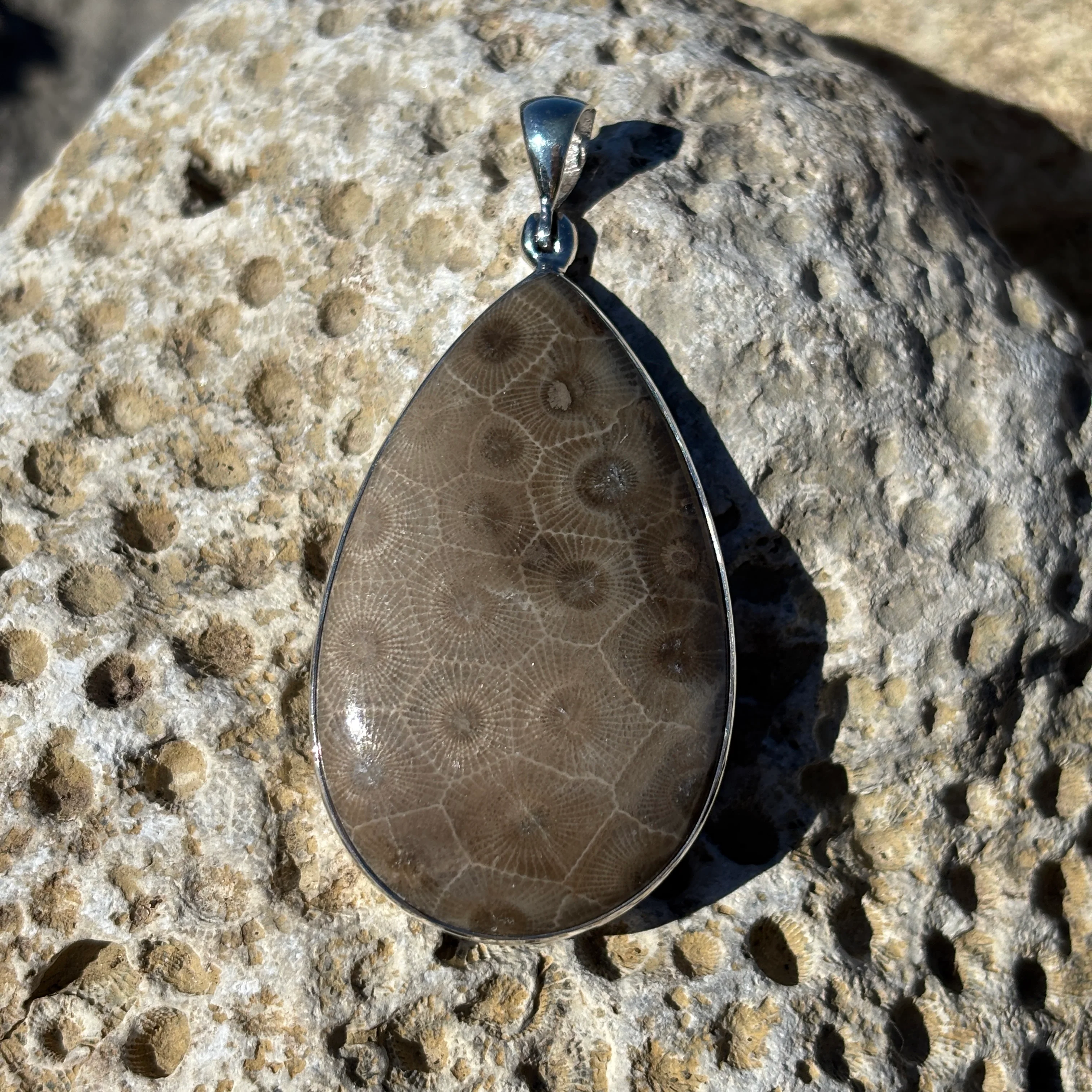 Petoskey Stone Necklace Pendant Encased in Sterling Silver Teardrop Shape