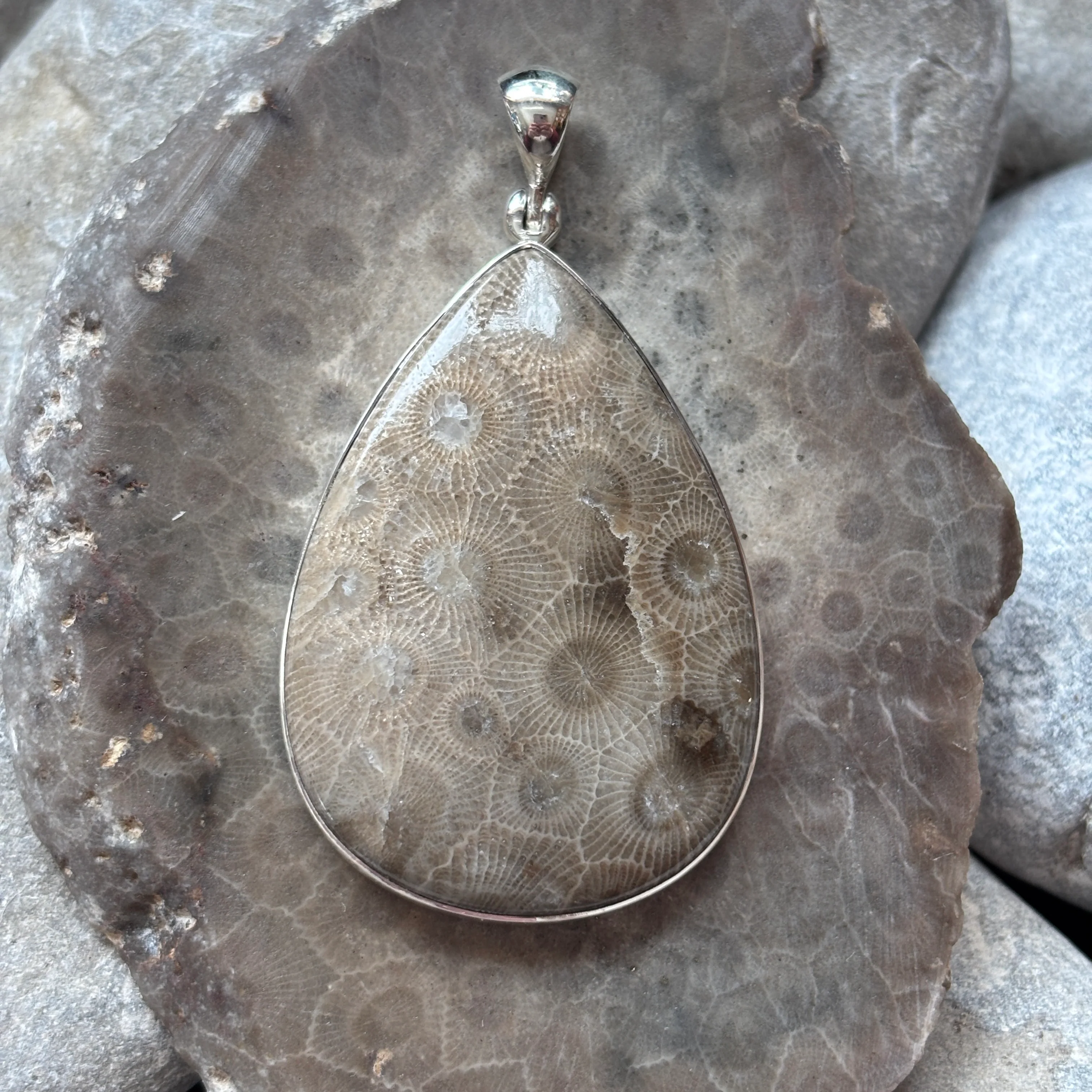 Petoskey Stone Necklace Pendant Encased in Sterling Silver Teardrop Shape - Image 10