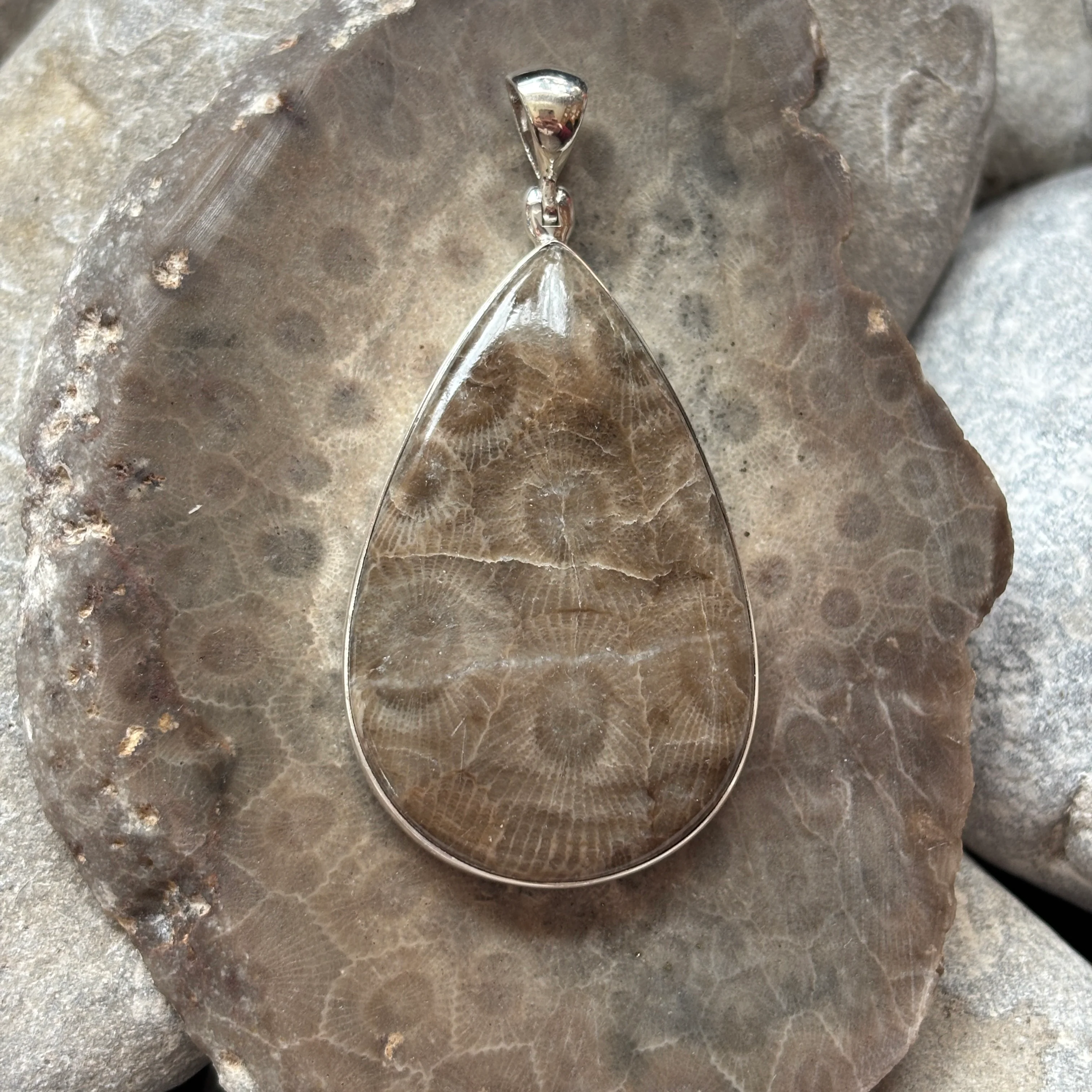 Petoskey Stone Necklace Pendant Encased in Sterling Silver Teardrop Shape - Image 4