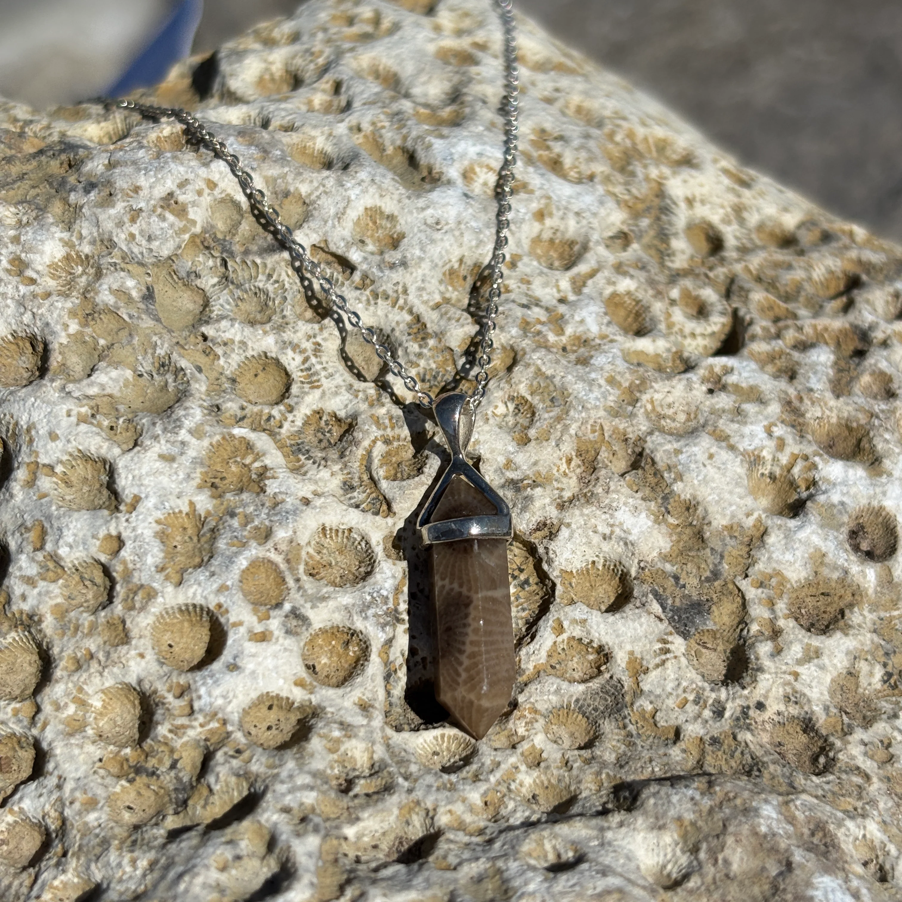 Petoskey Stone Necklace with  Sterling Silver Point Shape - Image 2