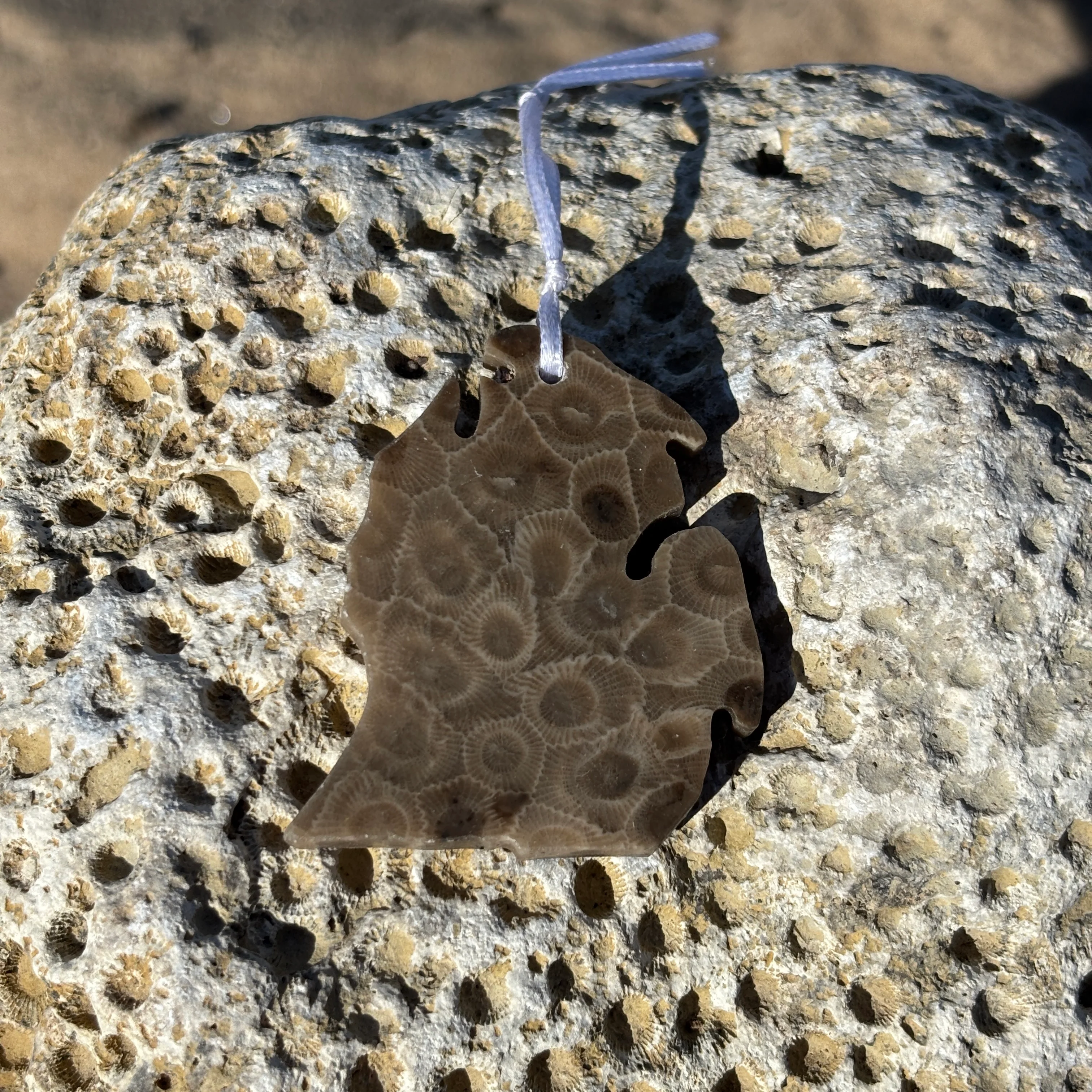Petoskey Stone Ornaments - Image 10