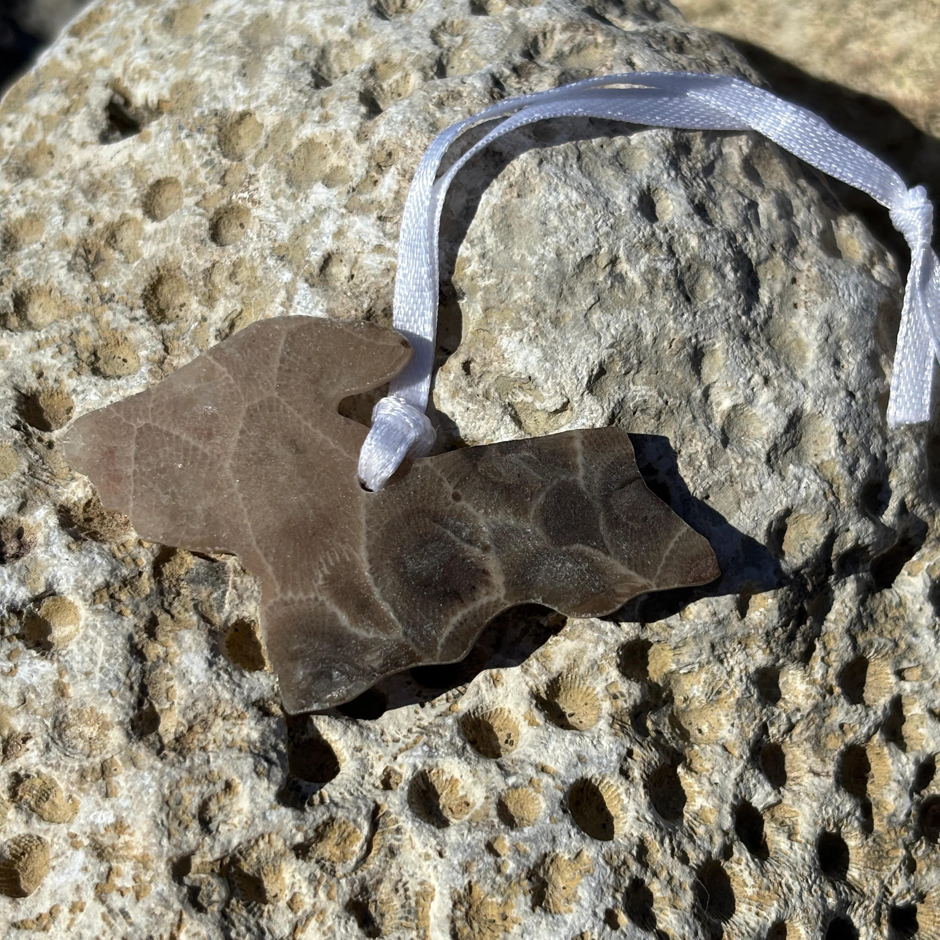 Petoskey Stone Ornaments - Image 11