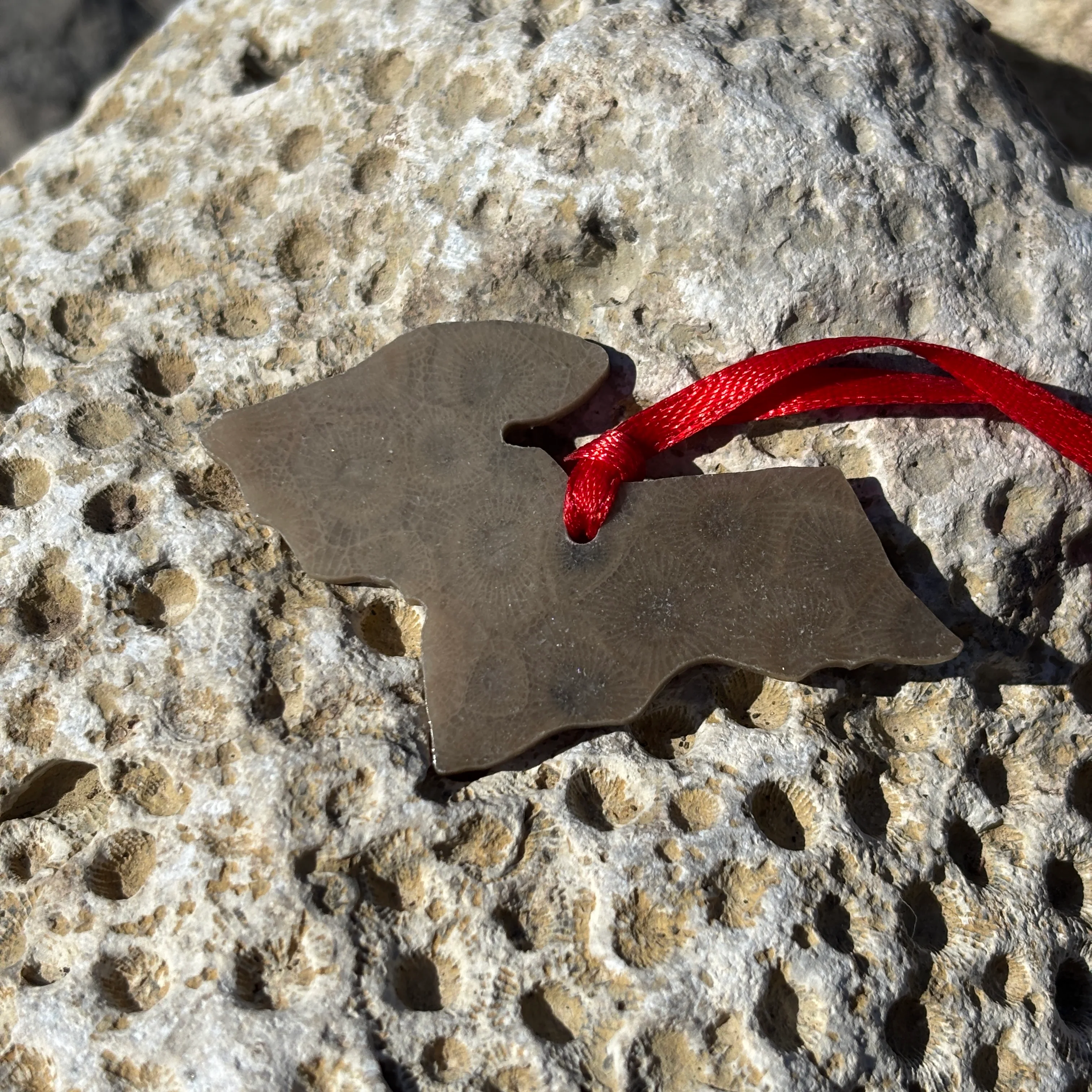 Petoskey Stone Ornaments - Image 12