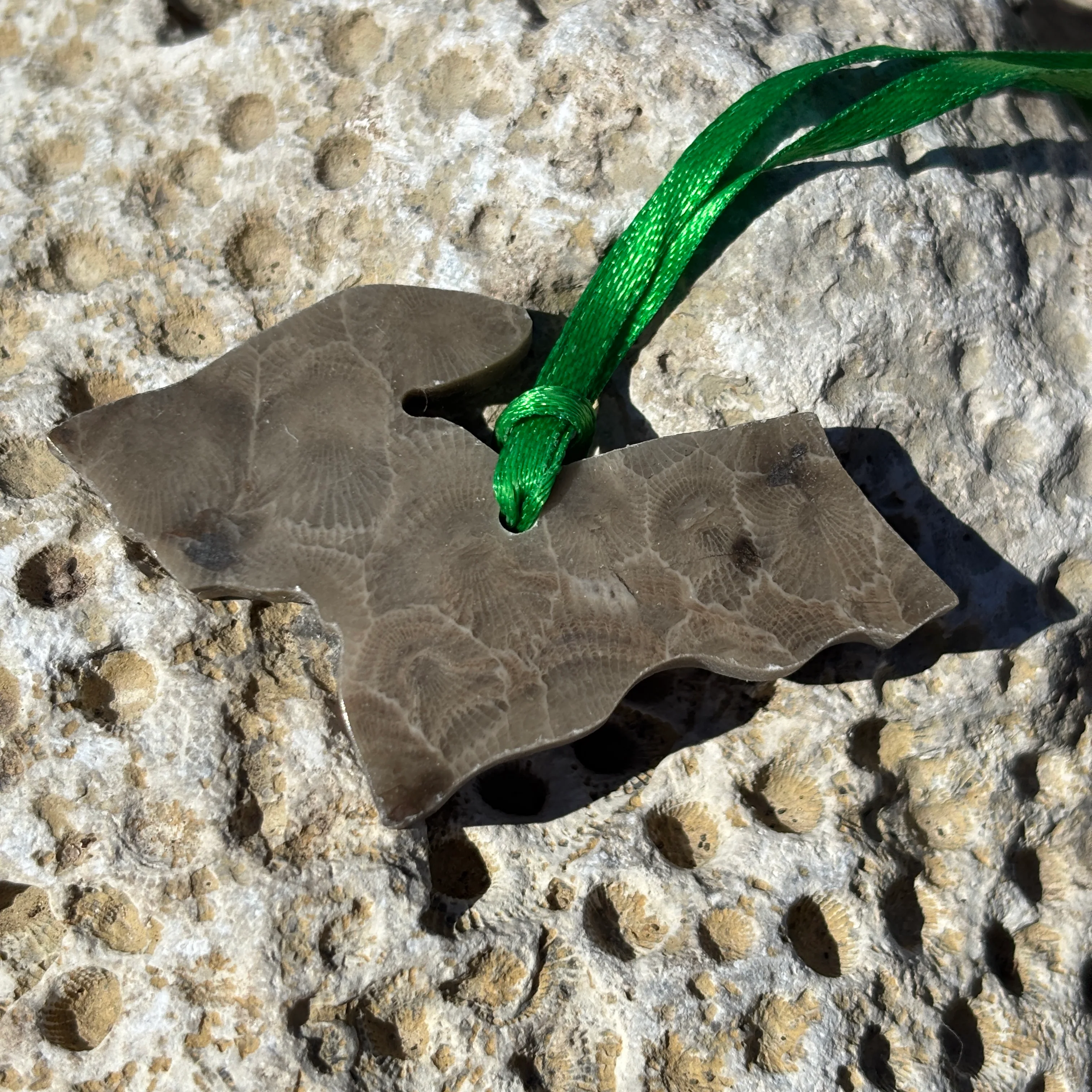 Petoskey Stone Ornaments - Image 13