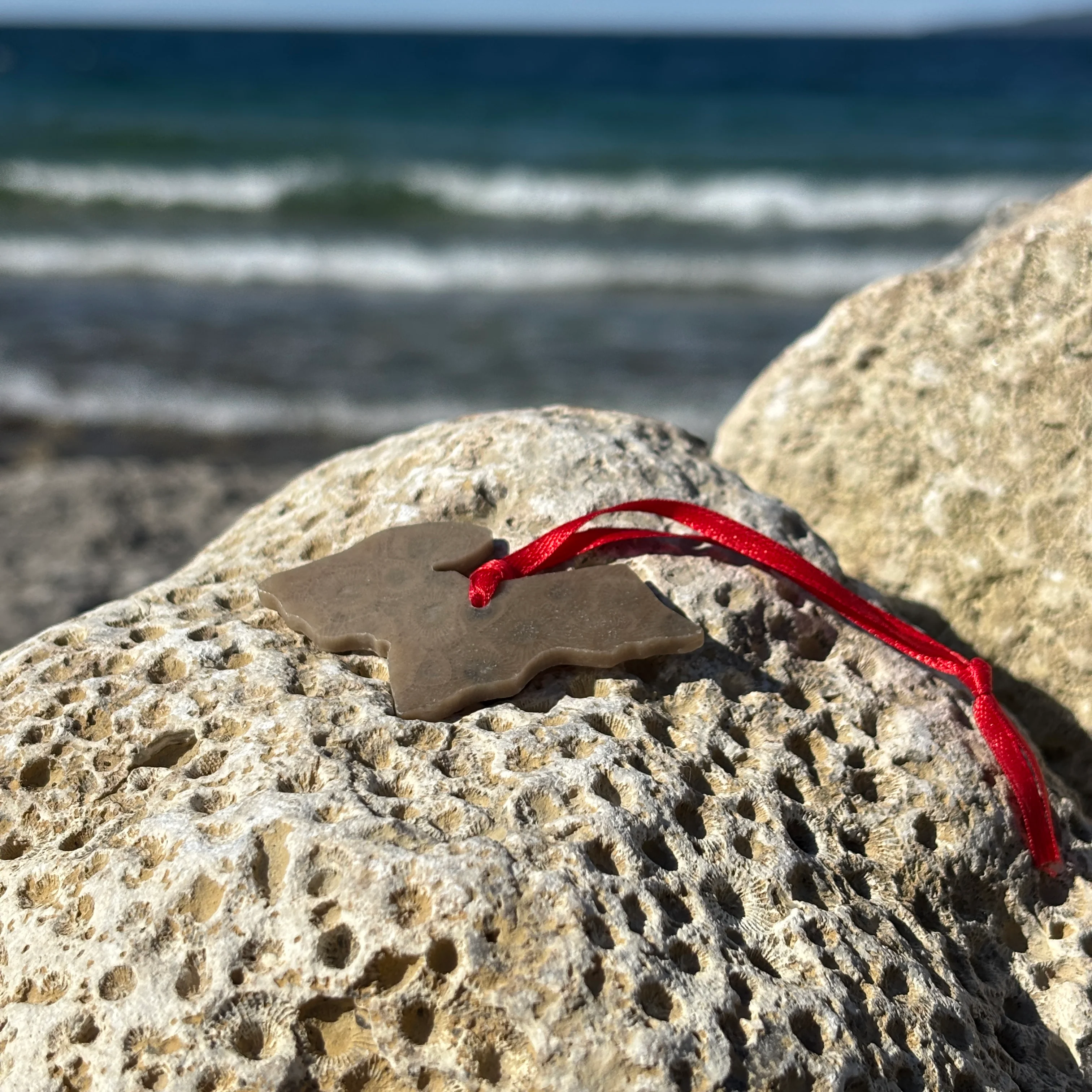 Petoskey Stone Ornaments - Image 14