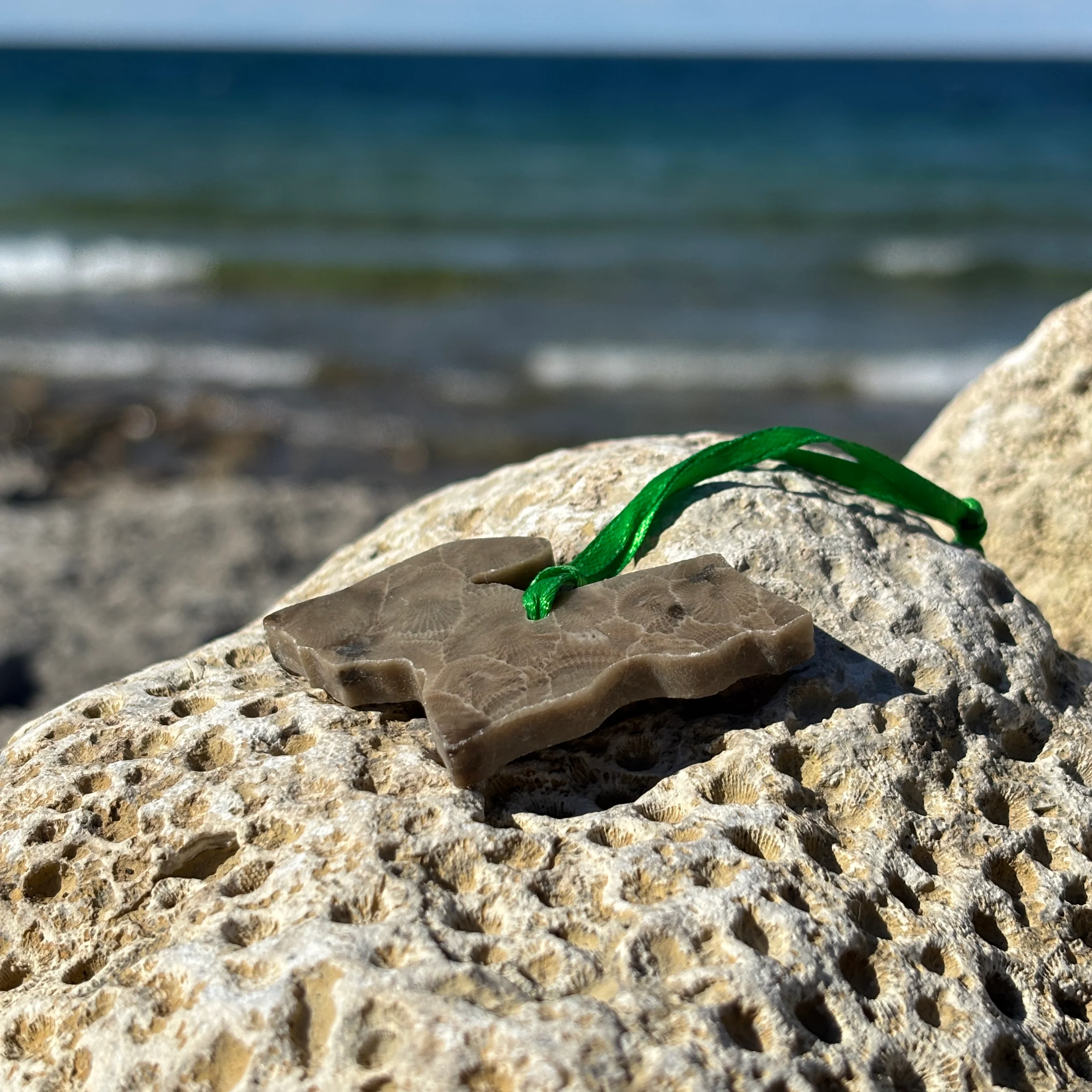 Petoskey Stone Ornaments - Image 15