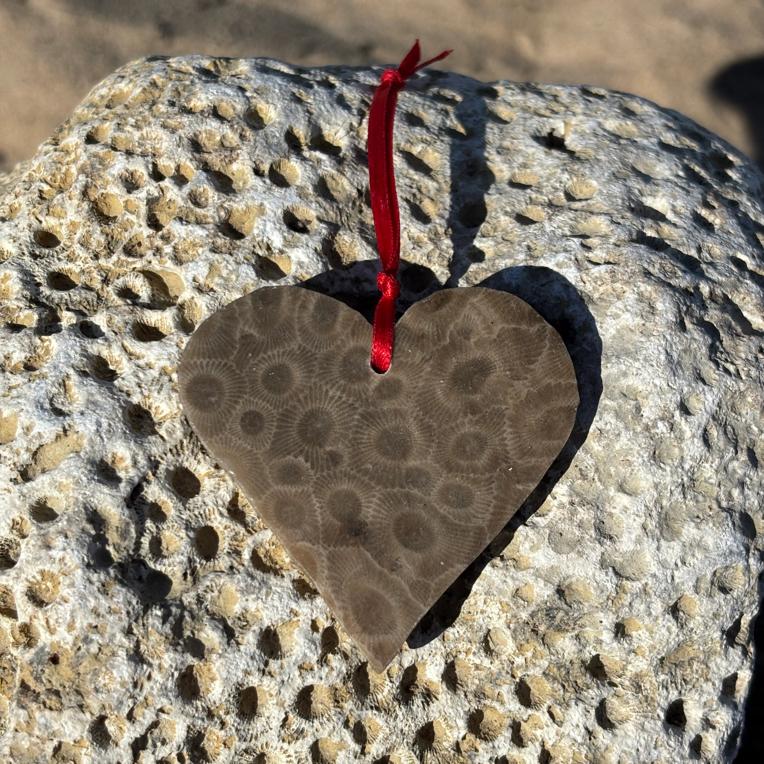 Petoskey Stone Ornaments - Image 4