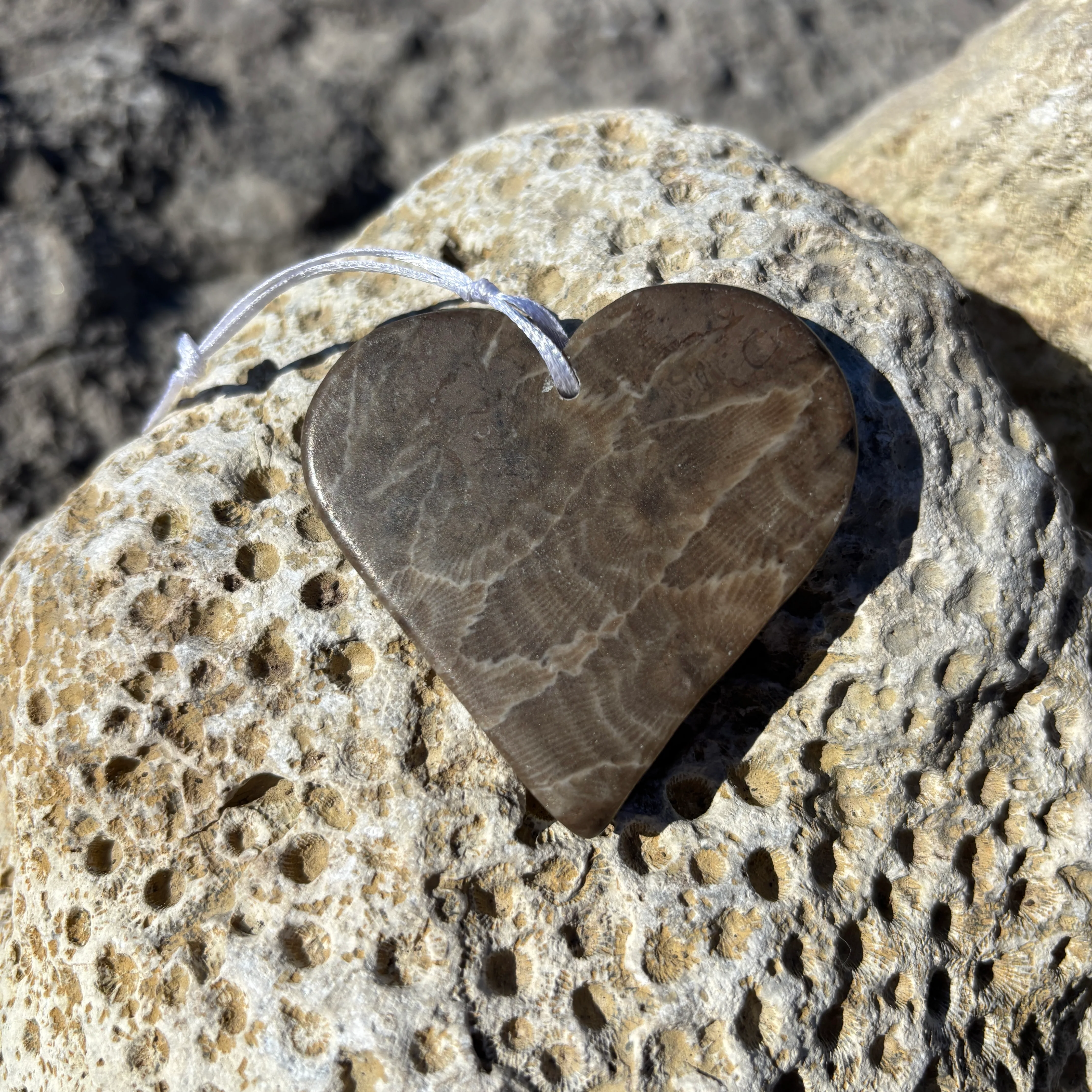 Petoskey Stone Ornaments - Image 6