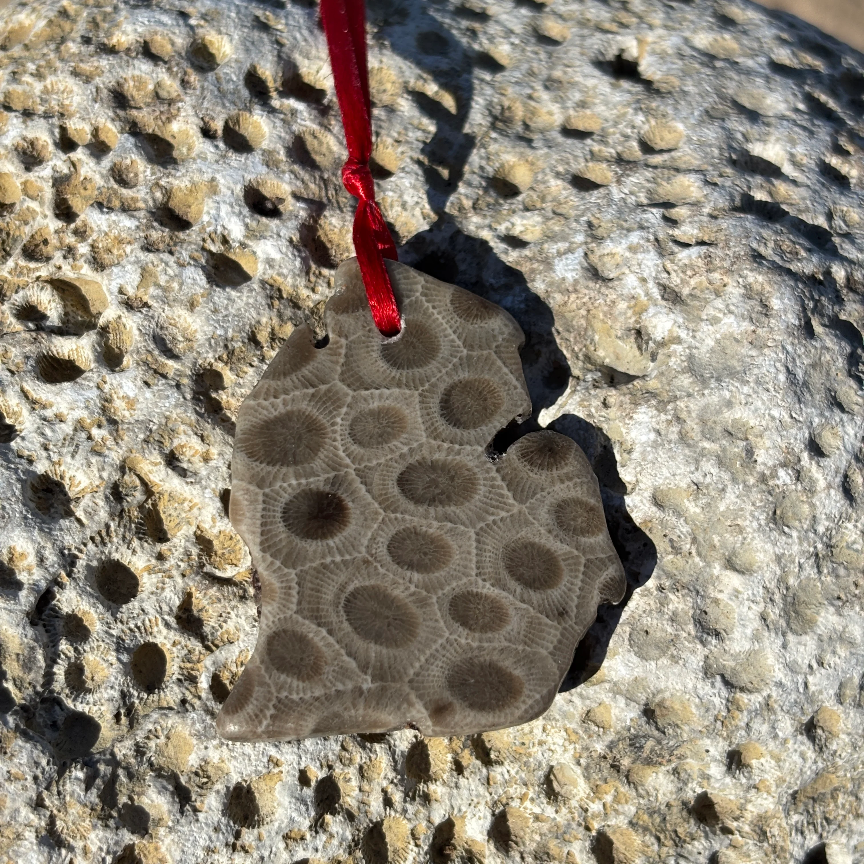 Petoskey Stone Ornaments - Image 8