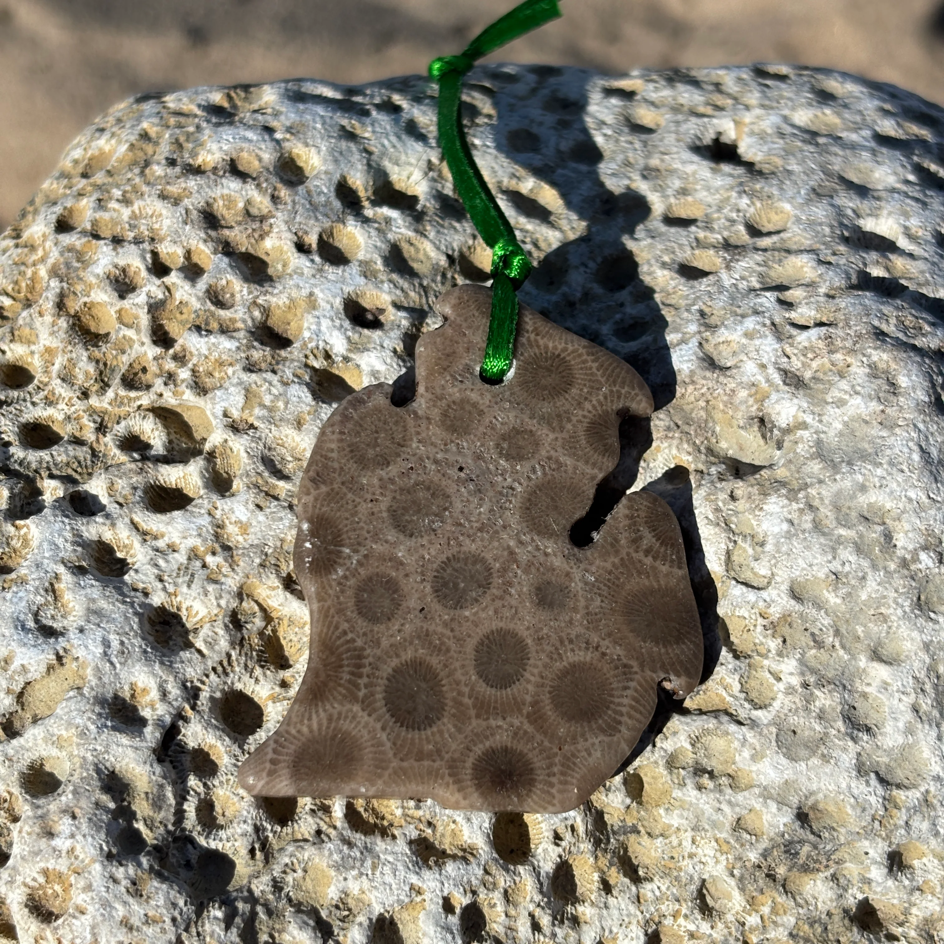 Petoskey Stone Ornaments - Image 9