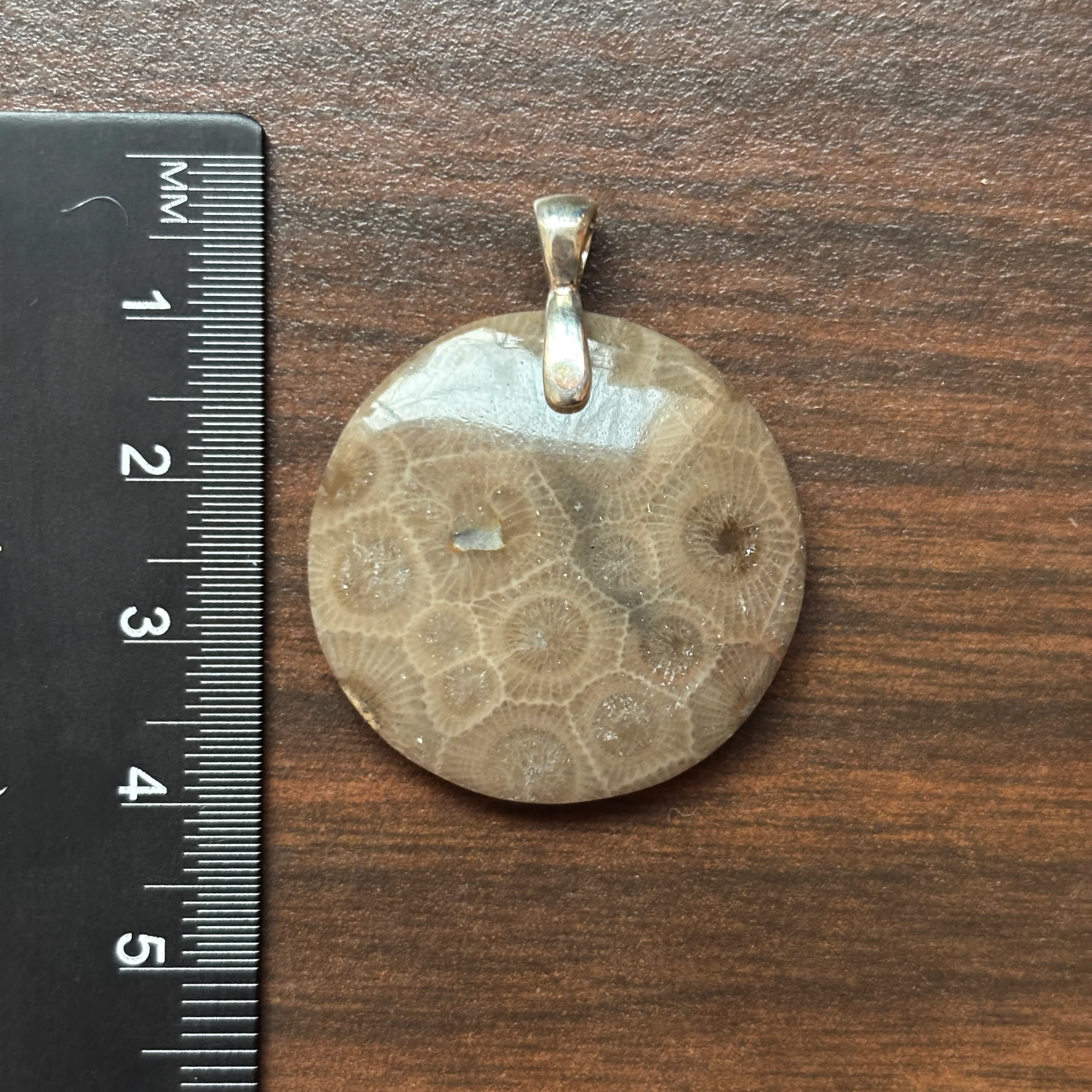 Petoskey Stone Pendant 30mm Round - Image 4