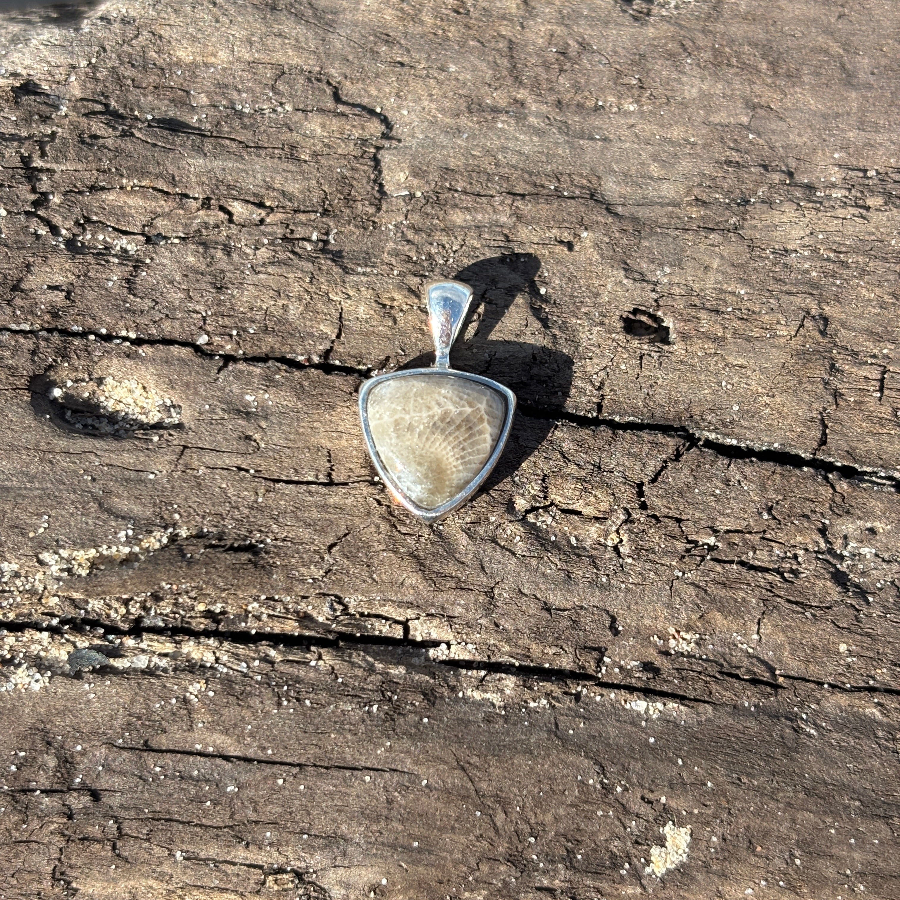 Petoskey Stone Pendant Encased in Sterling Silver - Image 2