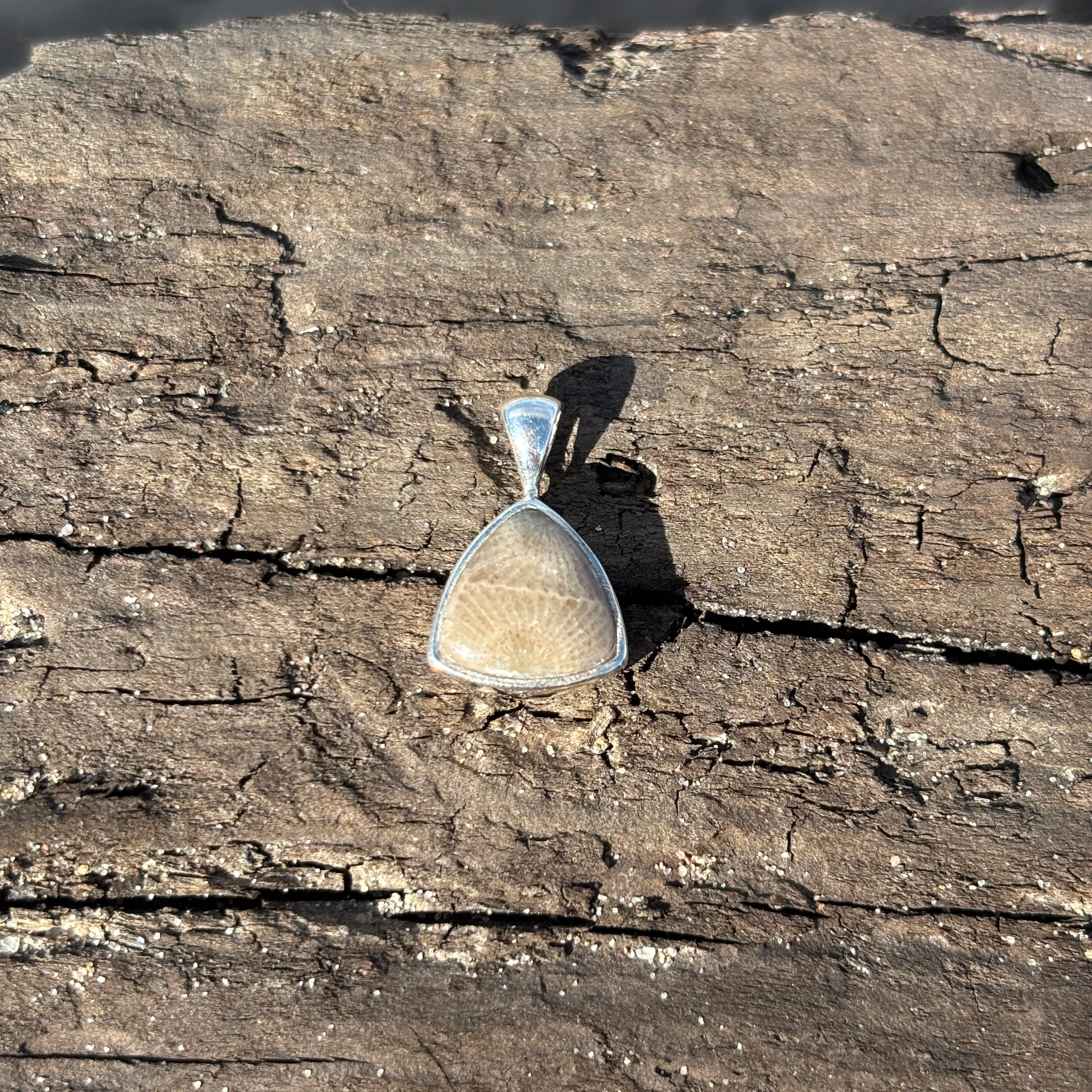 Petoskey Stone Pendant Encased in Sterling Silver - Image 3