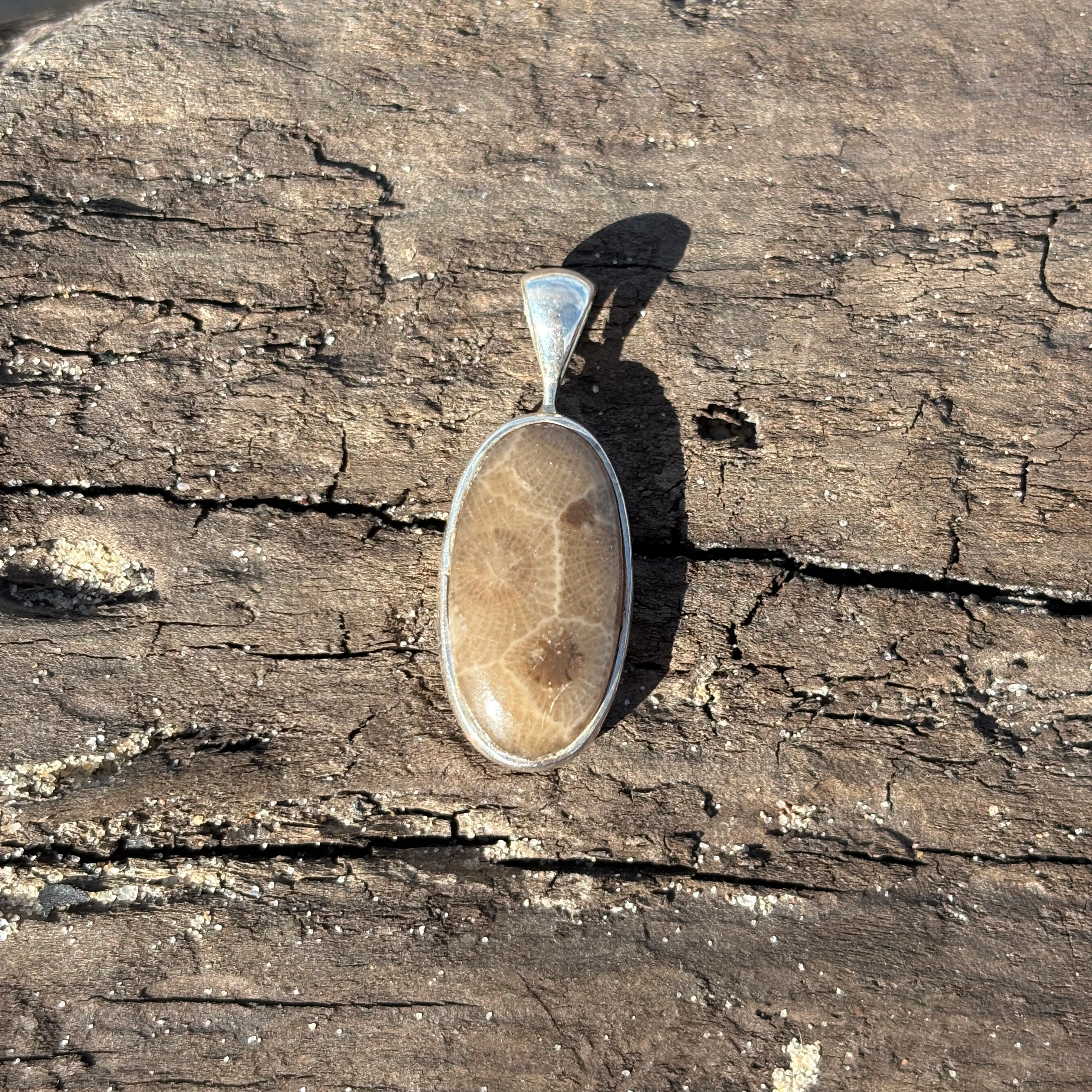 Petoskey Stone Pendant Encased in Sterling Silver - Image 4