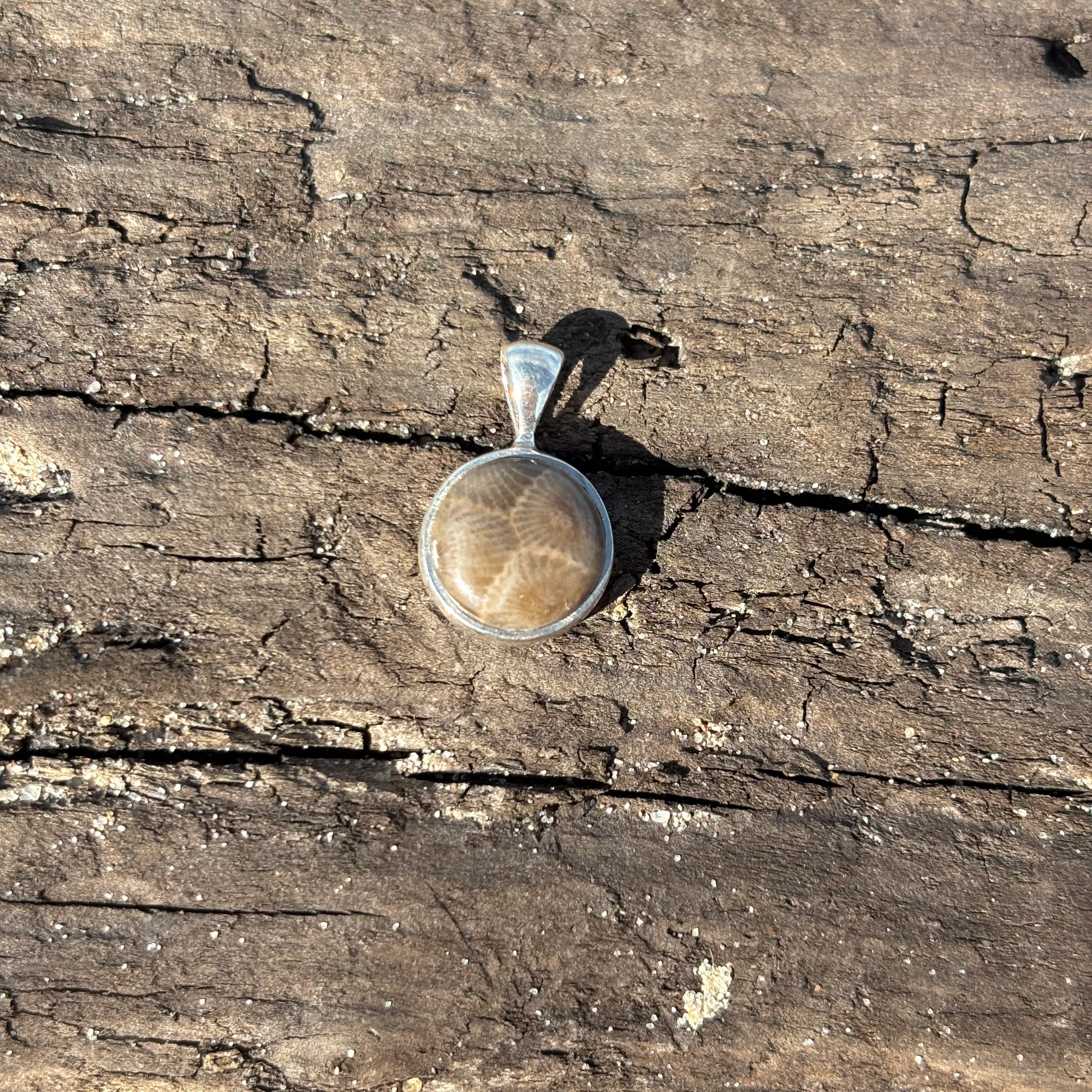 Petoskey Stone Pendant Encased in Sterling Silver - Image 5