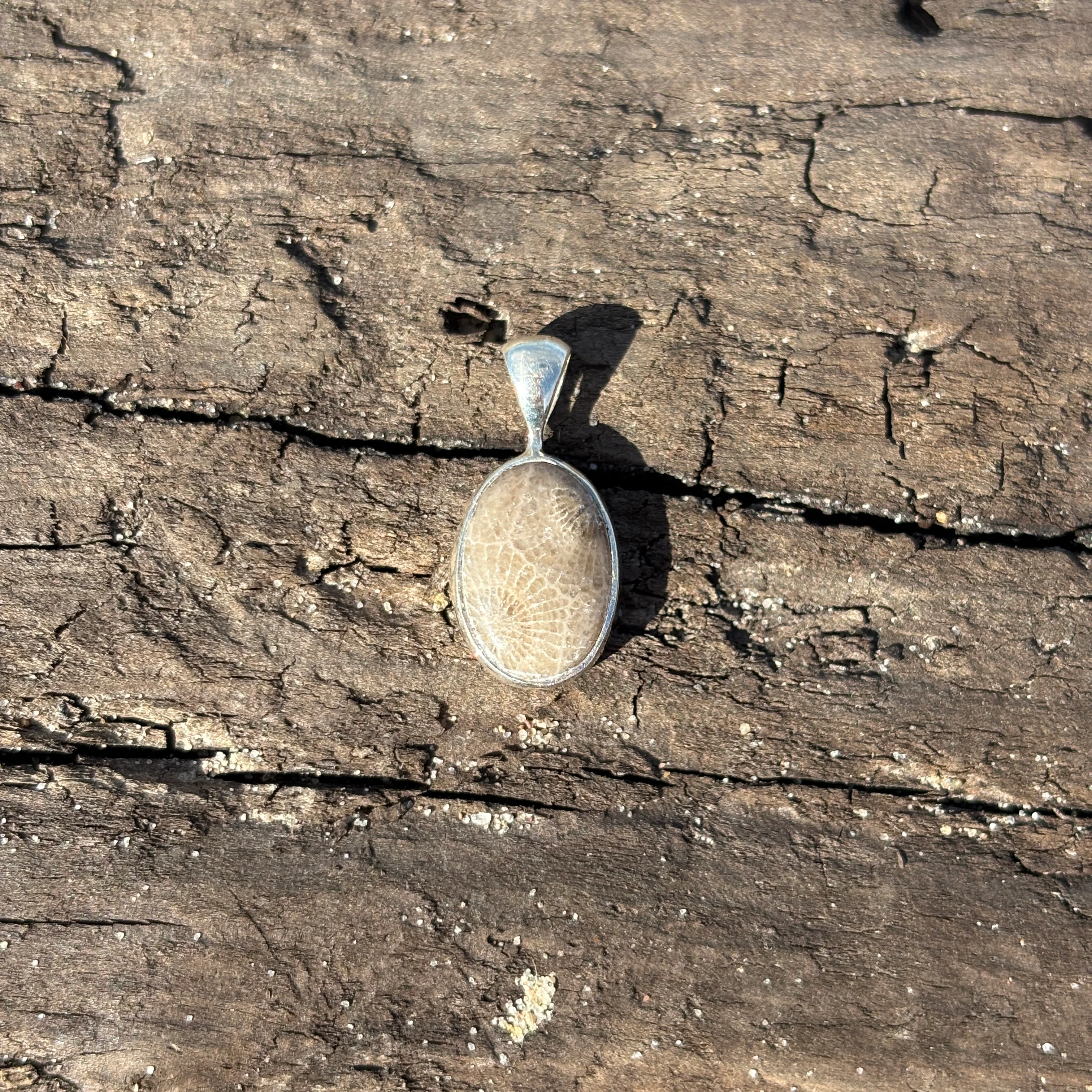 Petoskey Stone Pendant Encased in Sterling Silver - Image 6
