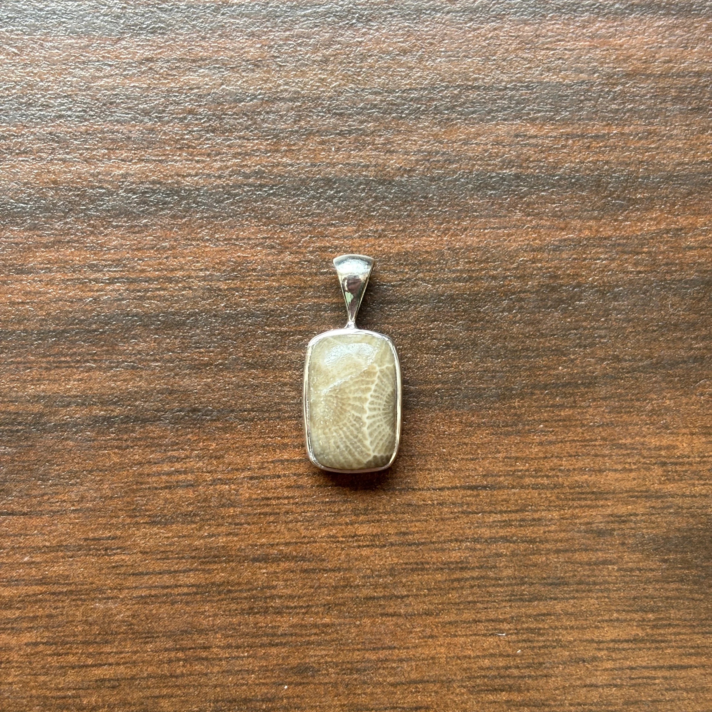 Petoskey Stone Pendant Encased in Sterling Silver - Image 8