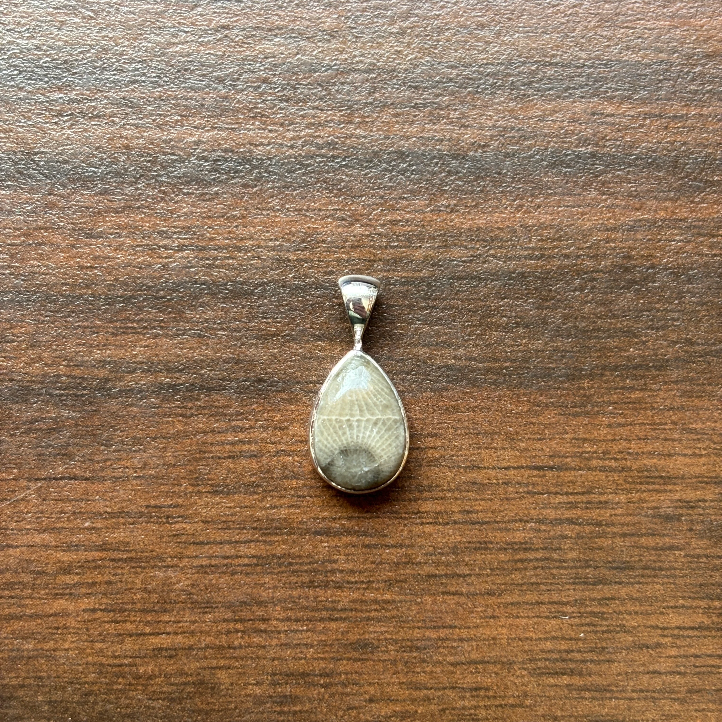 Petoskey Stone Pendant Encased in Sterling Silver - Image 9