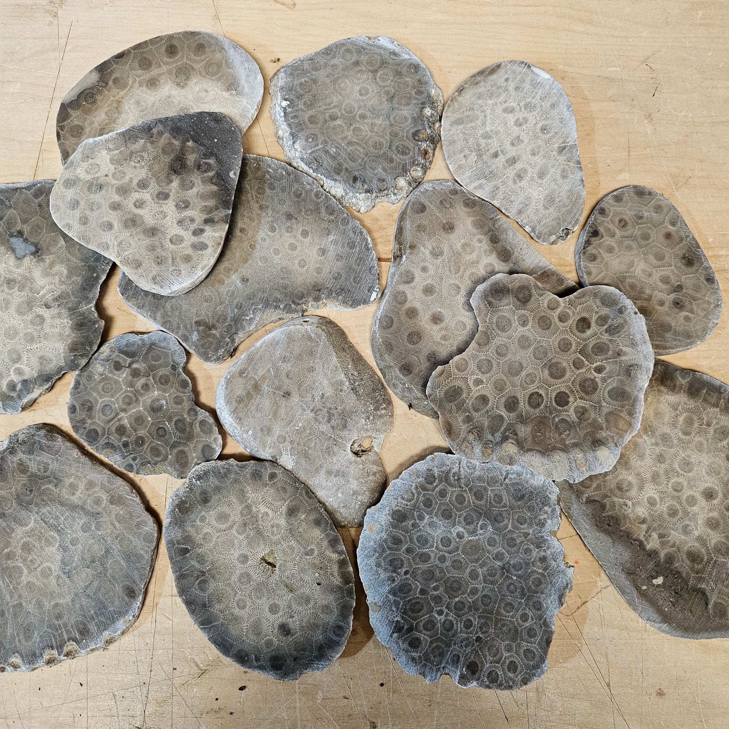 Unpolished Petoskey Stone Slabs - Image 3