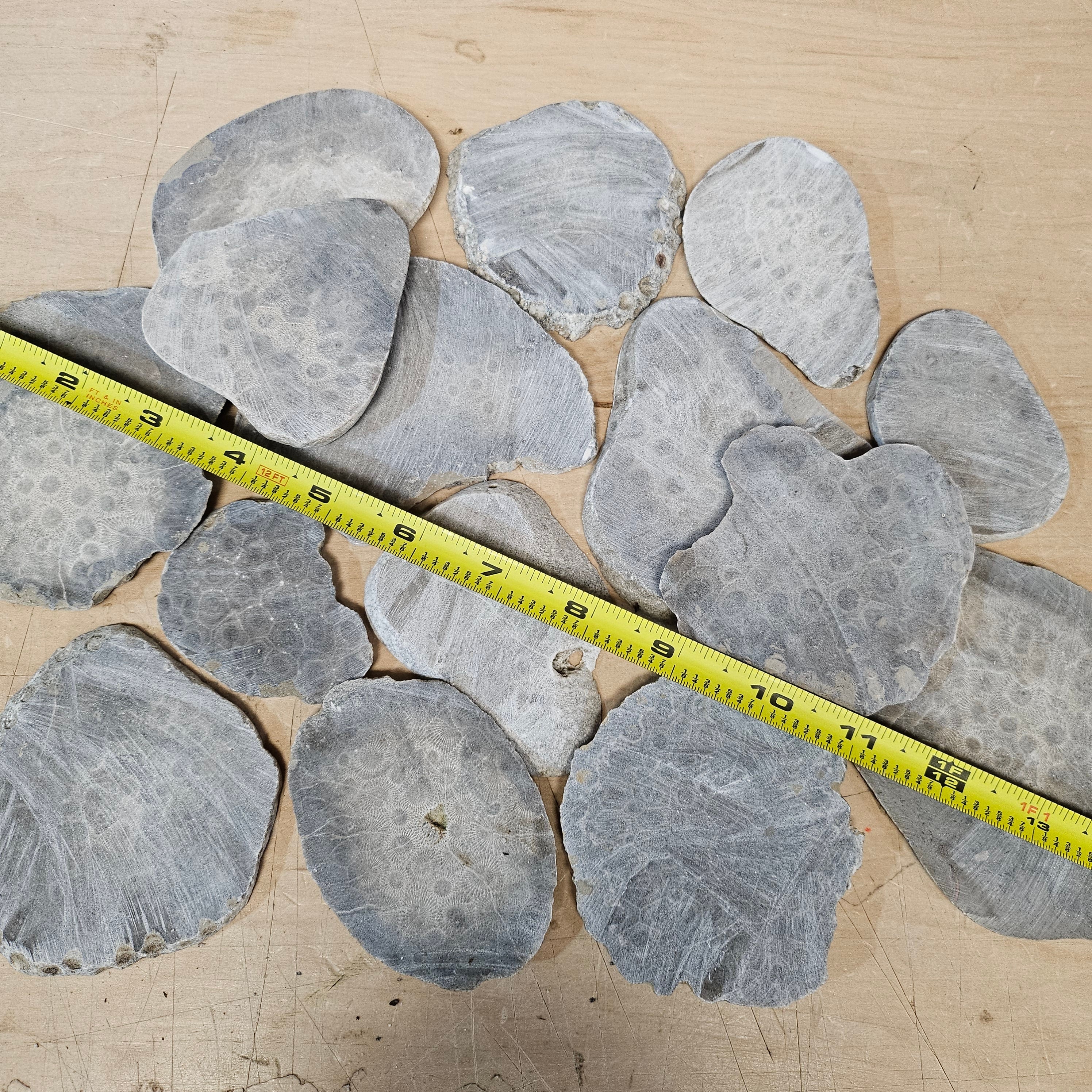 Unpolished Petoskey Stone Slabs - Image 4