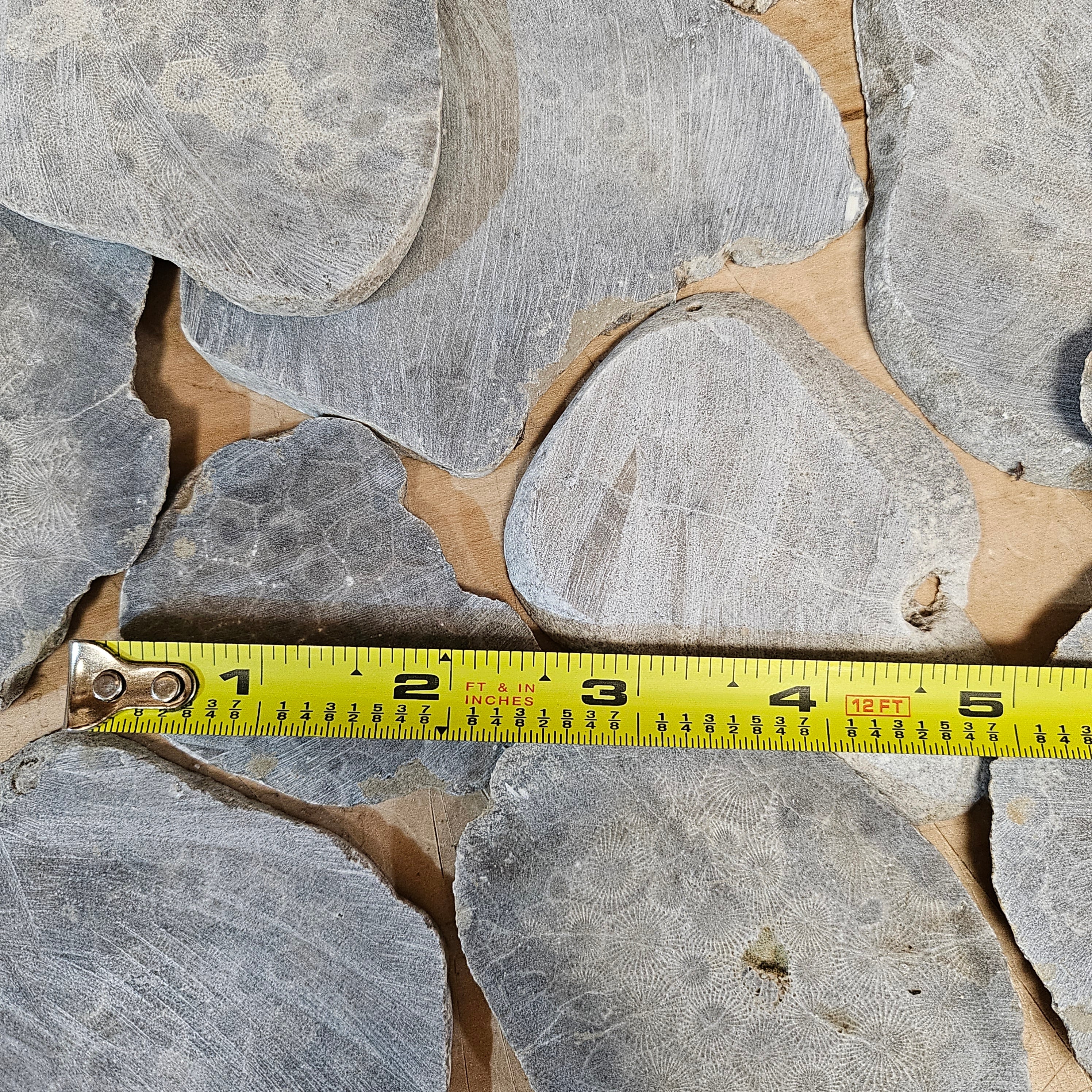 Unpolished Petoskey Stone Slabs - Image 5