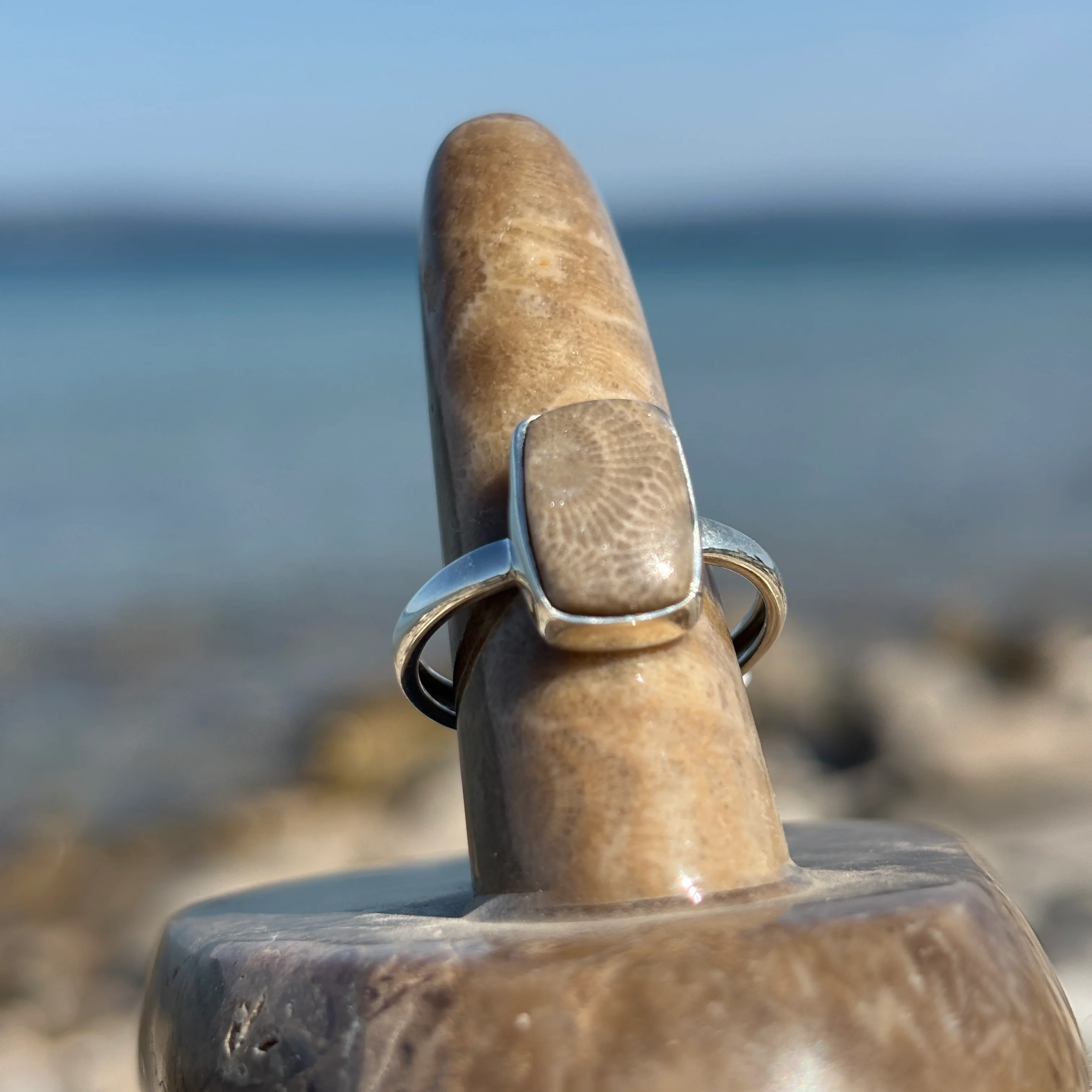 Petoskey Stone Sterling Silver Ring - Image 5
