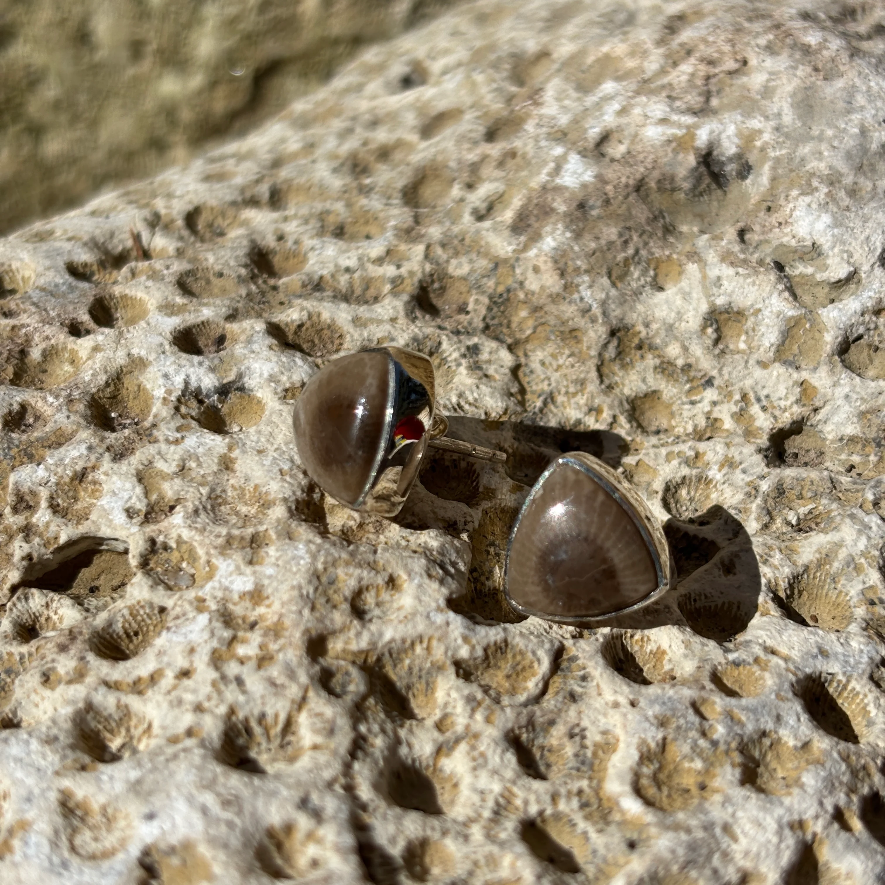 Petoskey Stone Stud Earring with Sterling Silver - Image 10