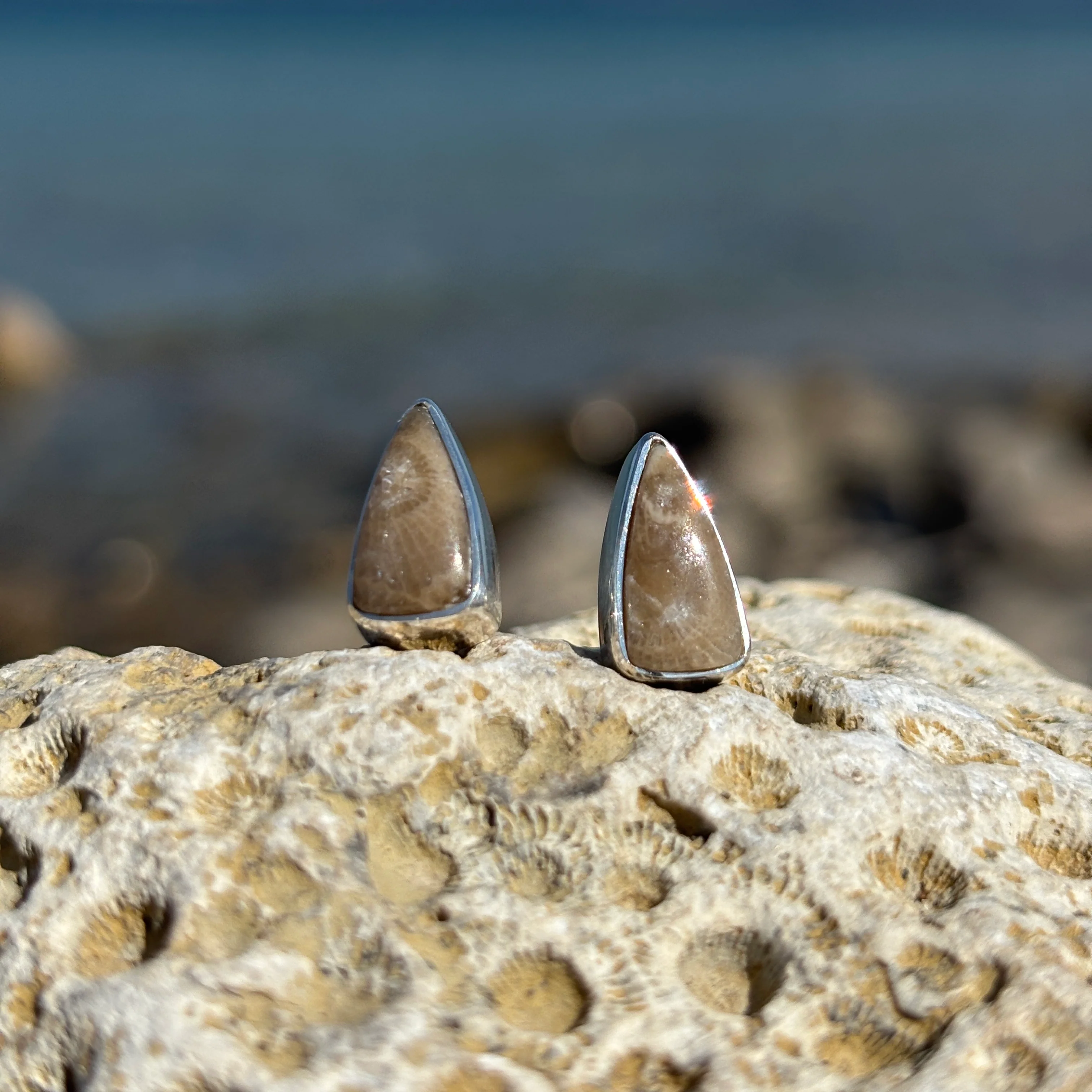 Petoskey Stone Stud Earring with Sterling Silver - Image 3