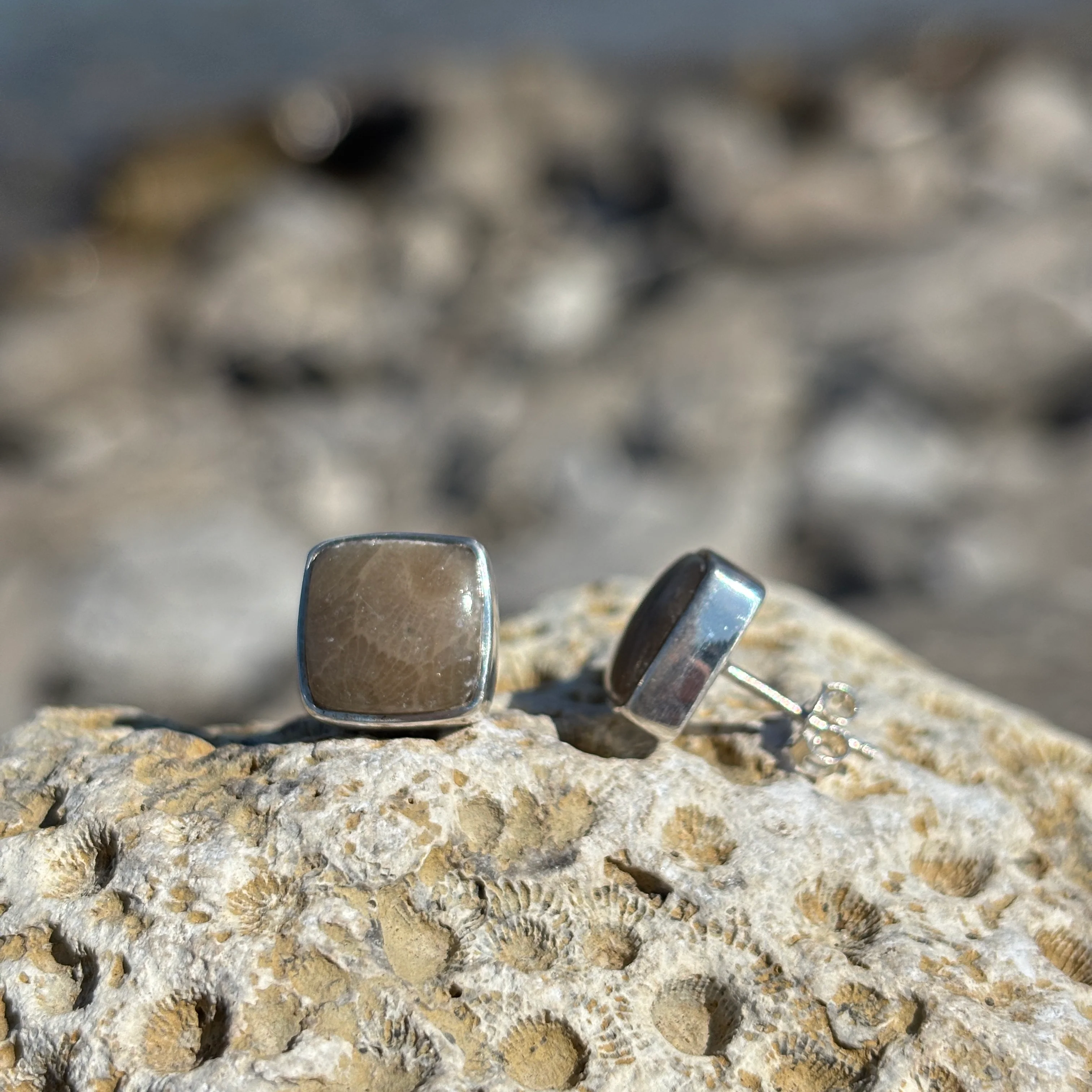 Petoskey Stone Stud Earring with Sterling Silver - Image 4