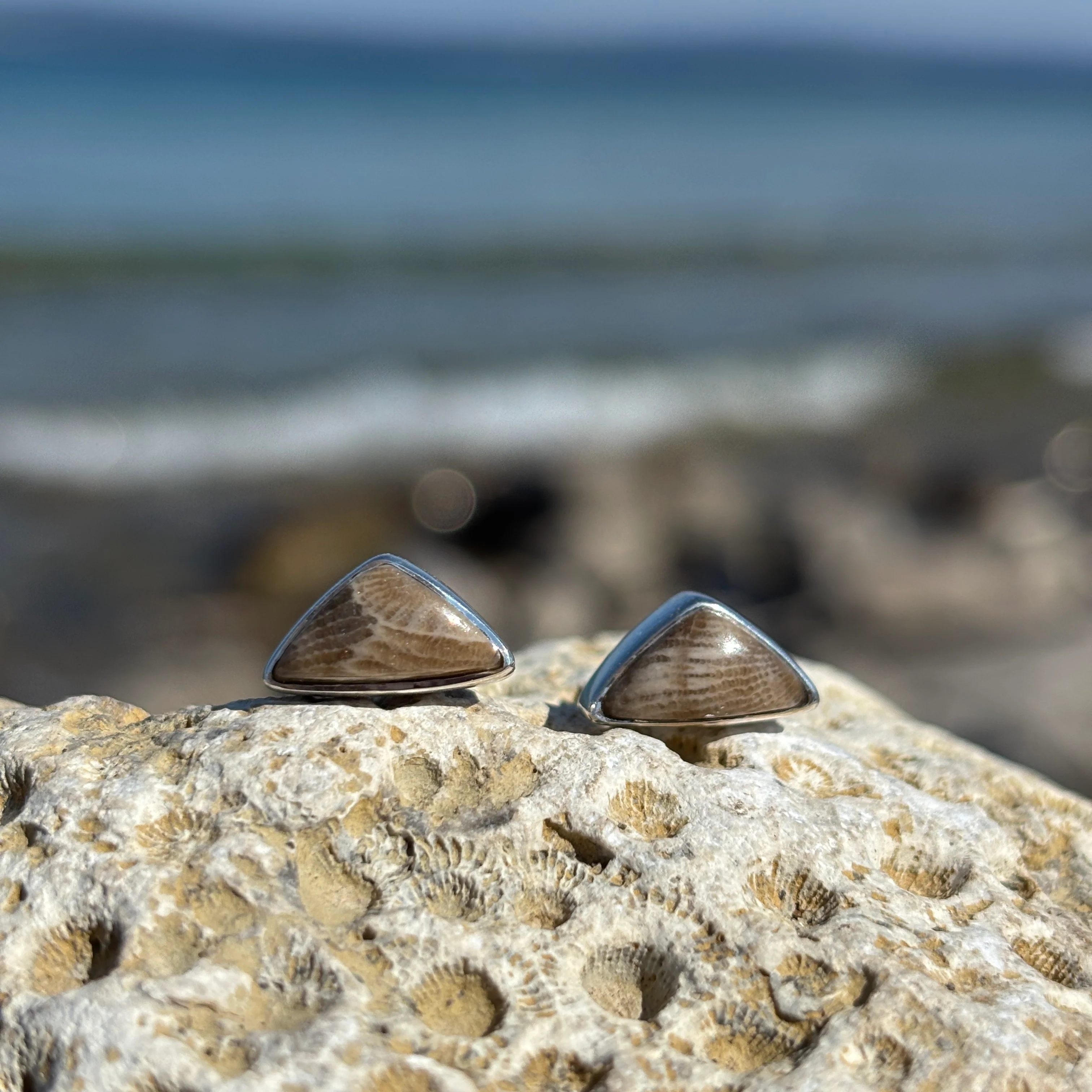 Petoskey Stone Stud Earring with Sterling Silver - Image 5
