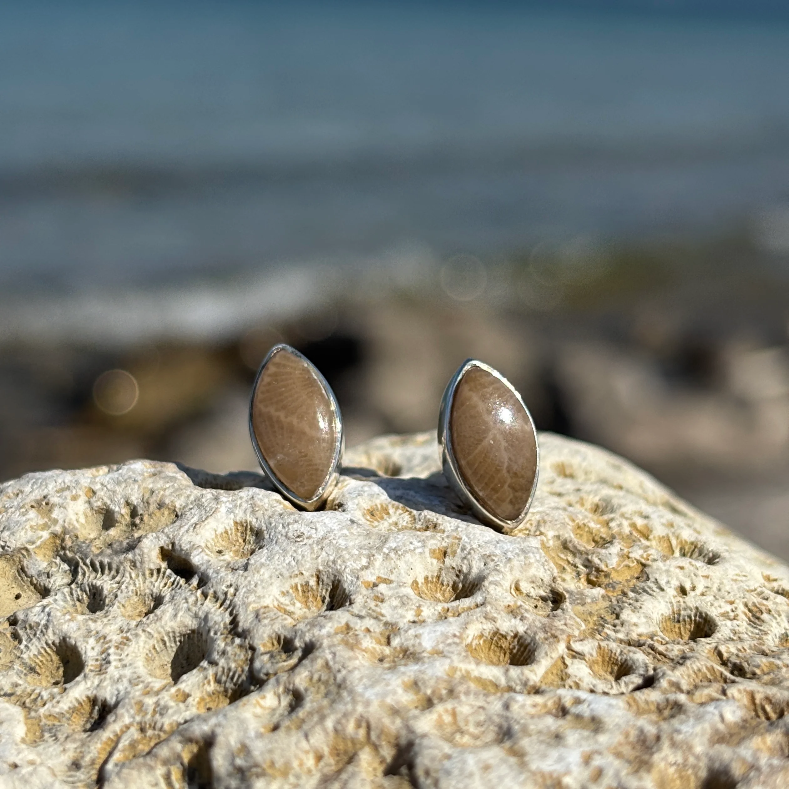 Petoskey Stone Stud Earring with Sterling Silver - Image 6