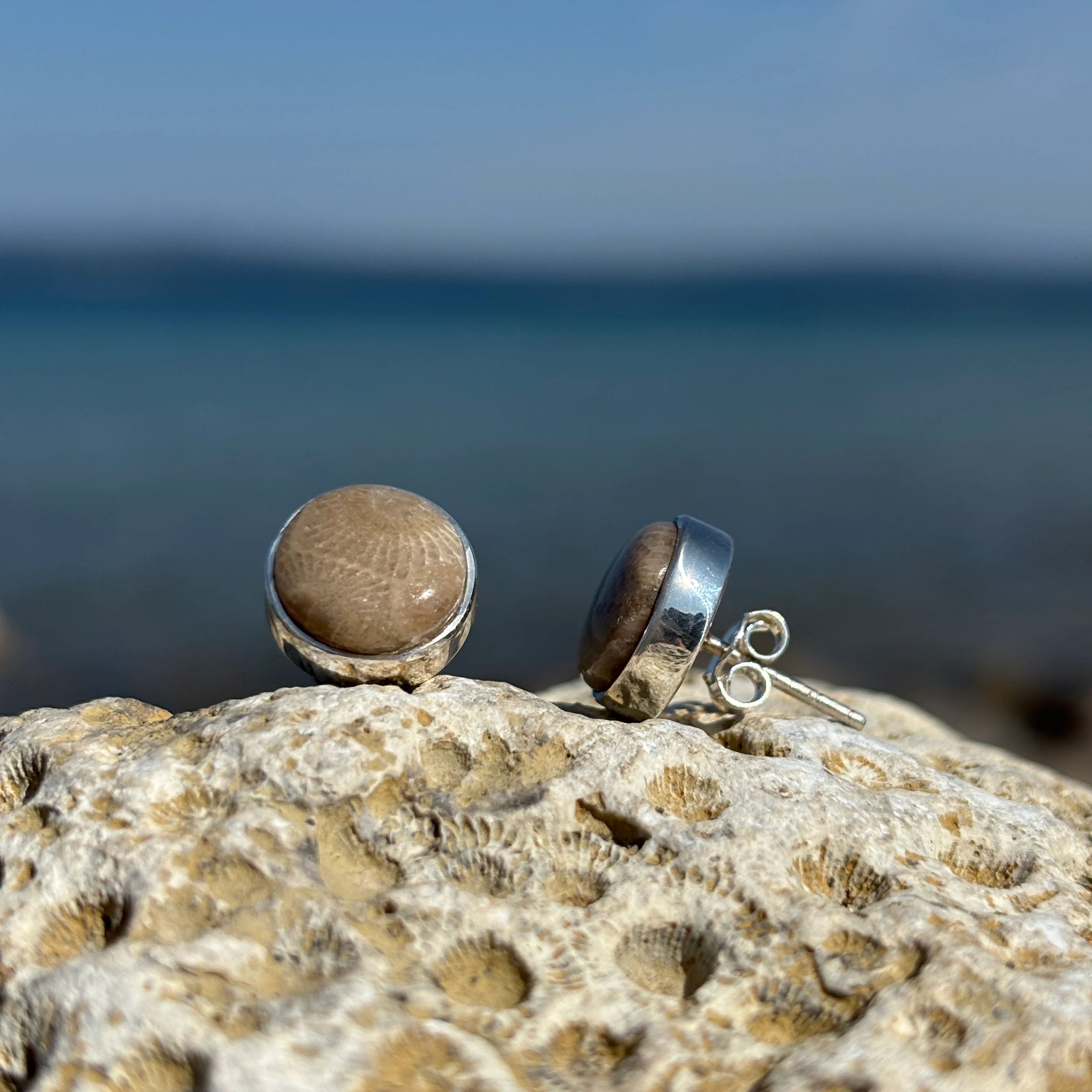 Petoskey Stone Stud Earring with Sterling Silver - Image 7
