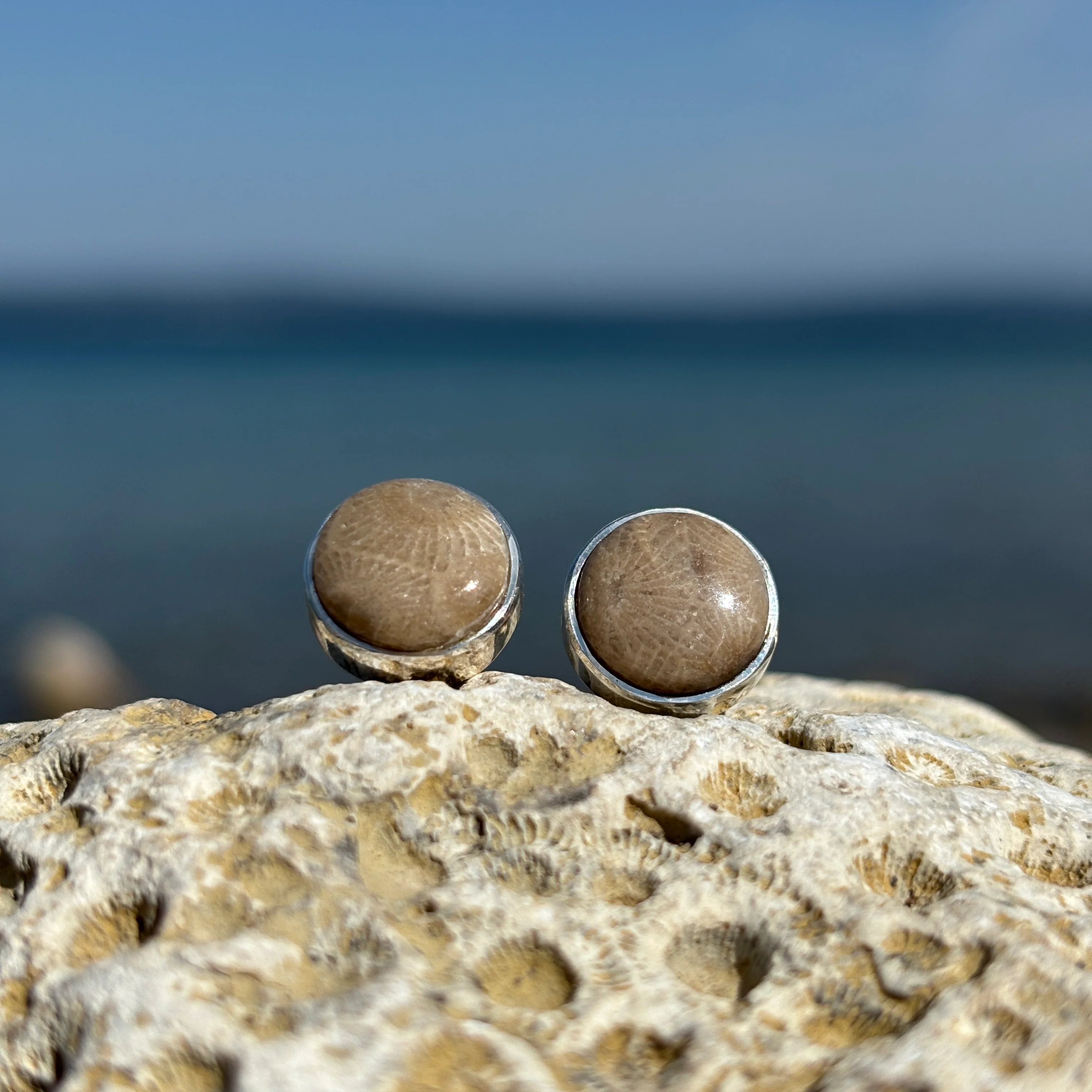 Petoskey Stone Stud Earring with Sterling Silver - Image 8