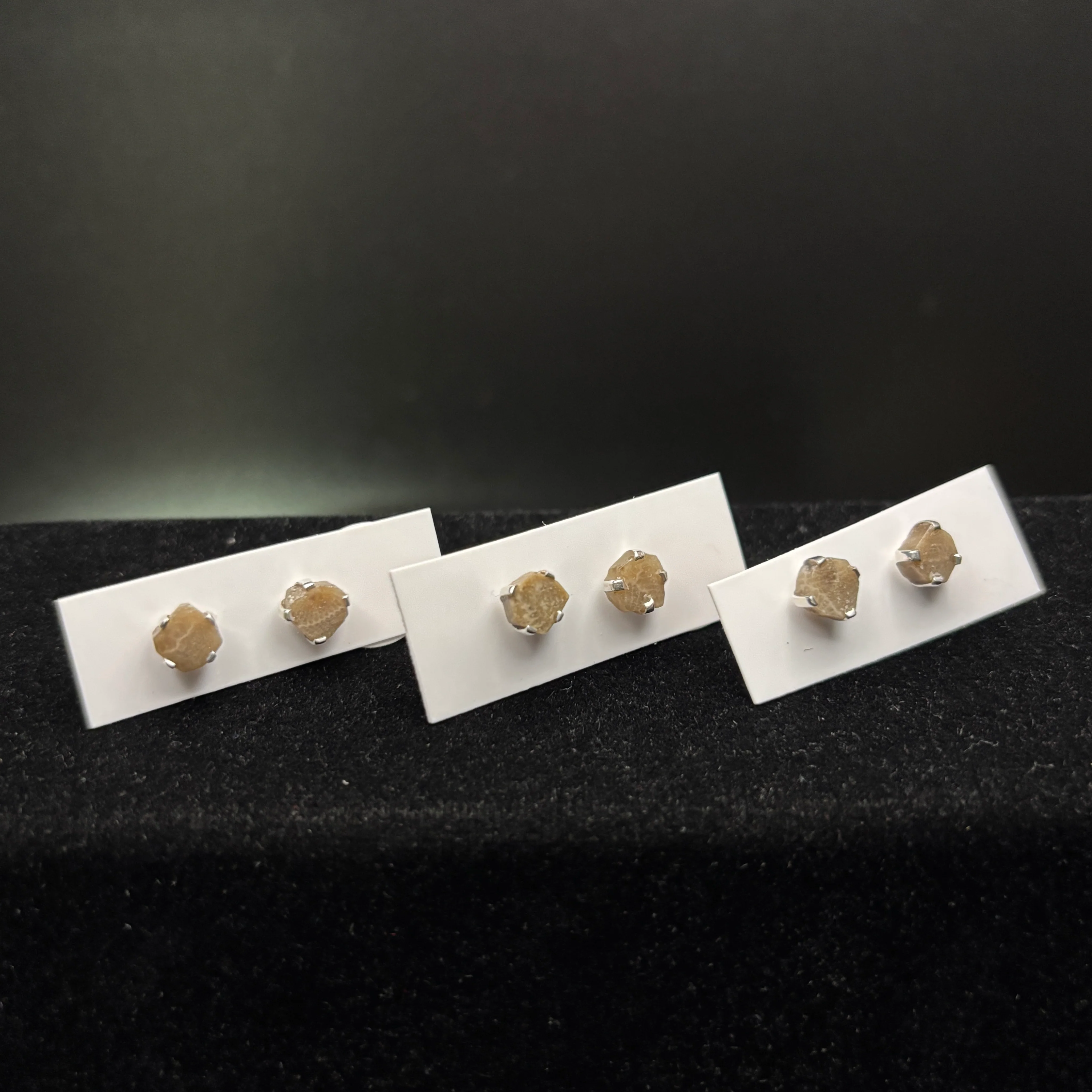 Petoskey Stone Stud Earring with Sterling Silver Prongs - Image 3
