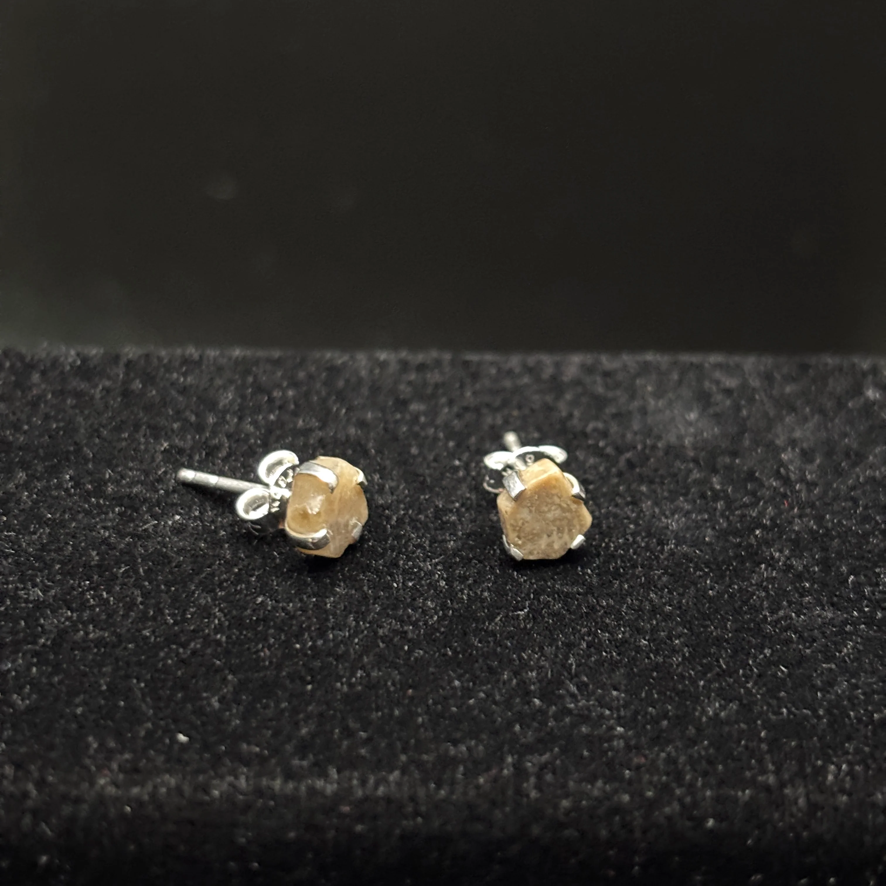 Petoskey Stone Stud Earring with Sterling Silver Prongs - Image 4