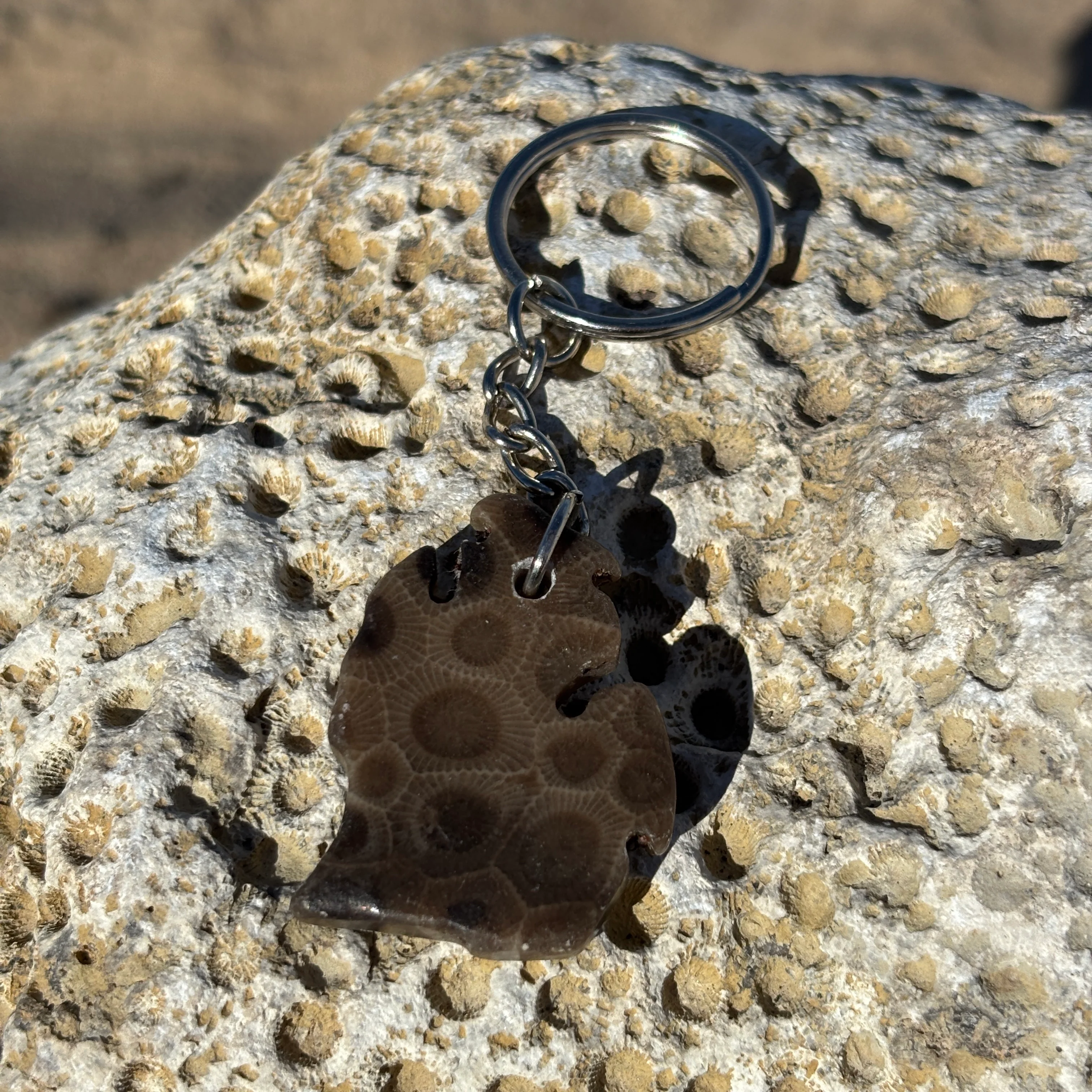 Polished and Shaped Petoskey Stone Keychain - Image 3