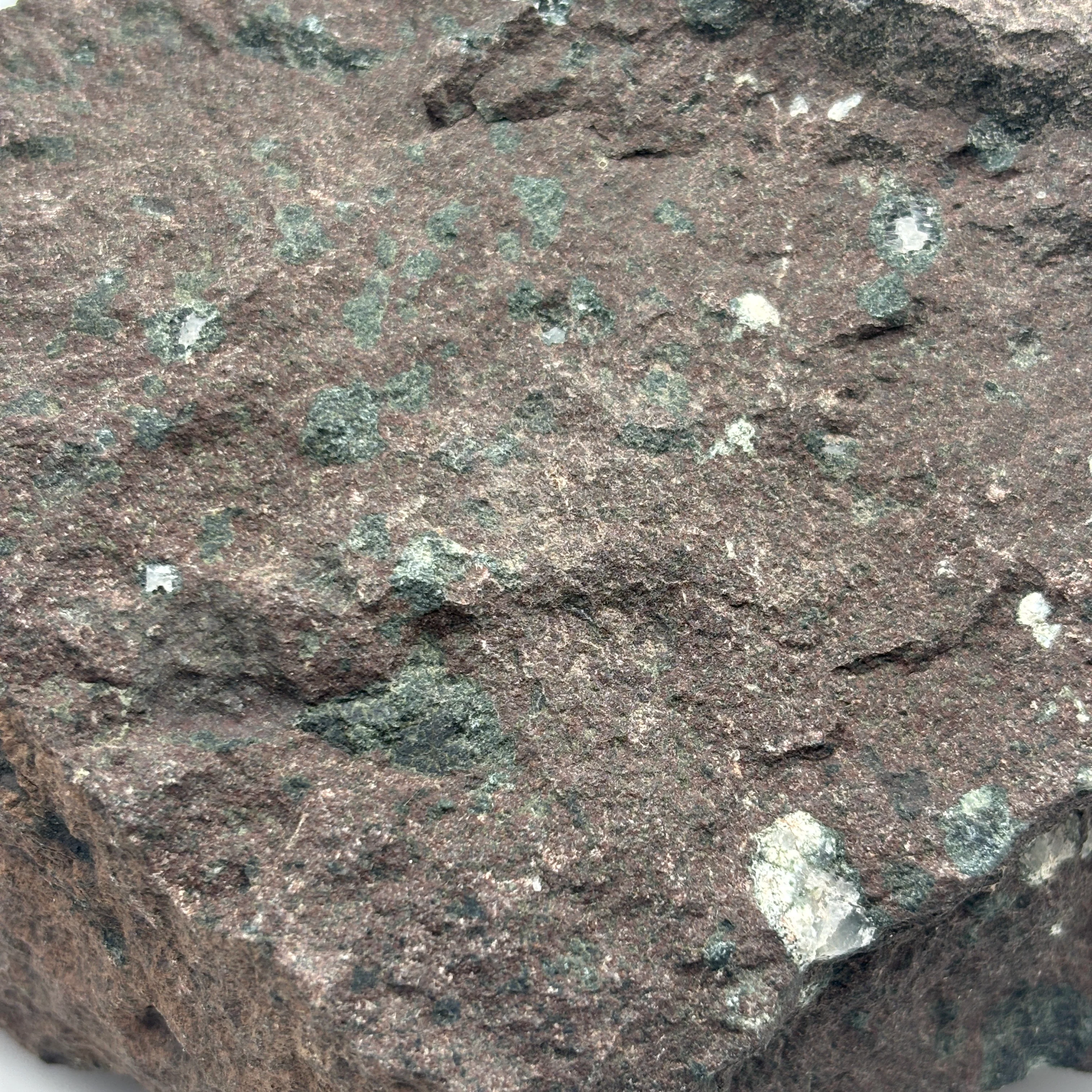Isle Royale Greenstone in Basalt Matrix - Image 4