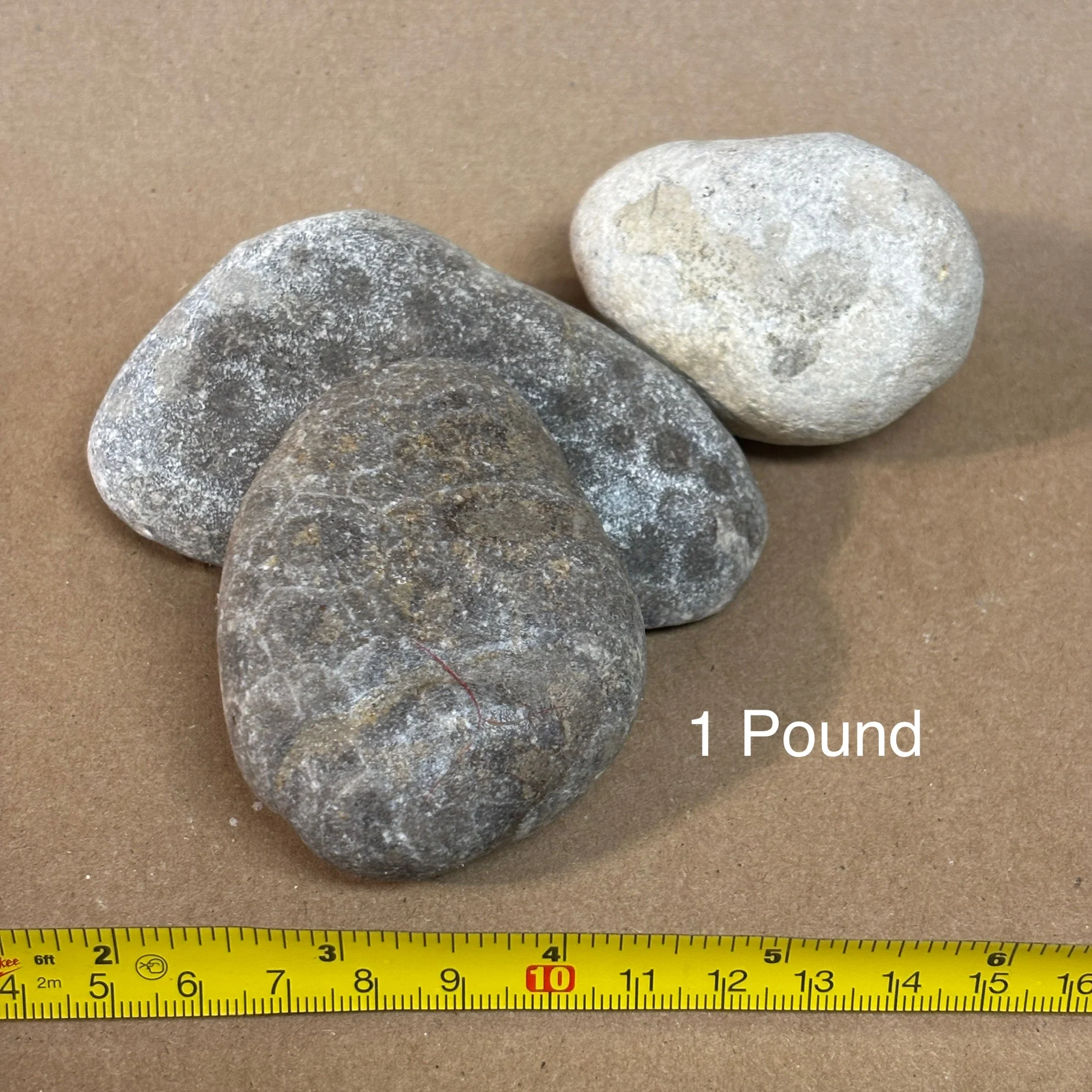 Unpolished Raw Petoskey Stones (per lb) - Image 4