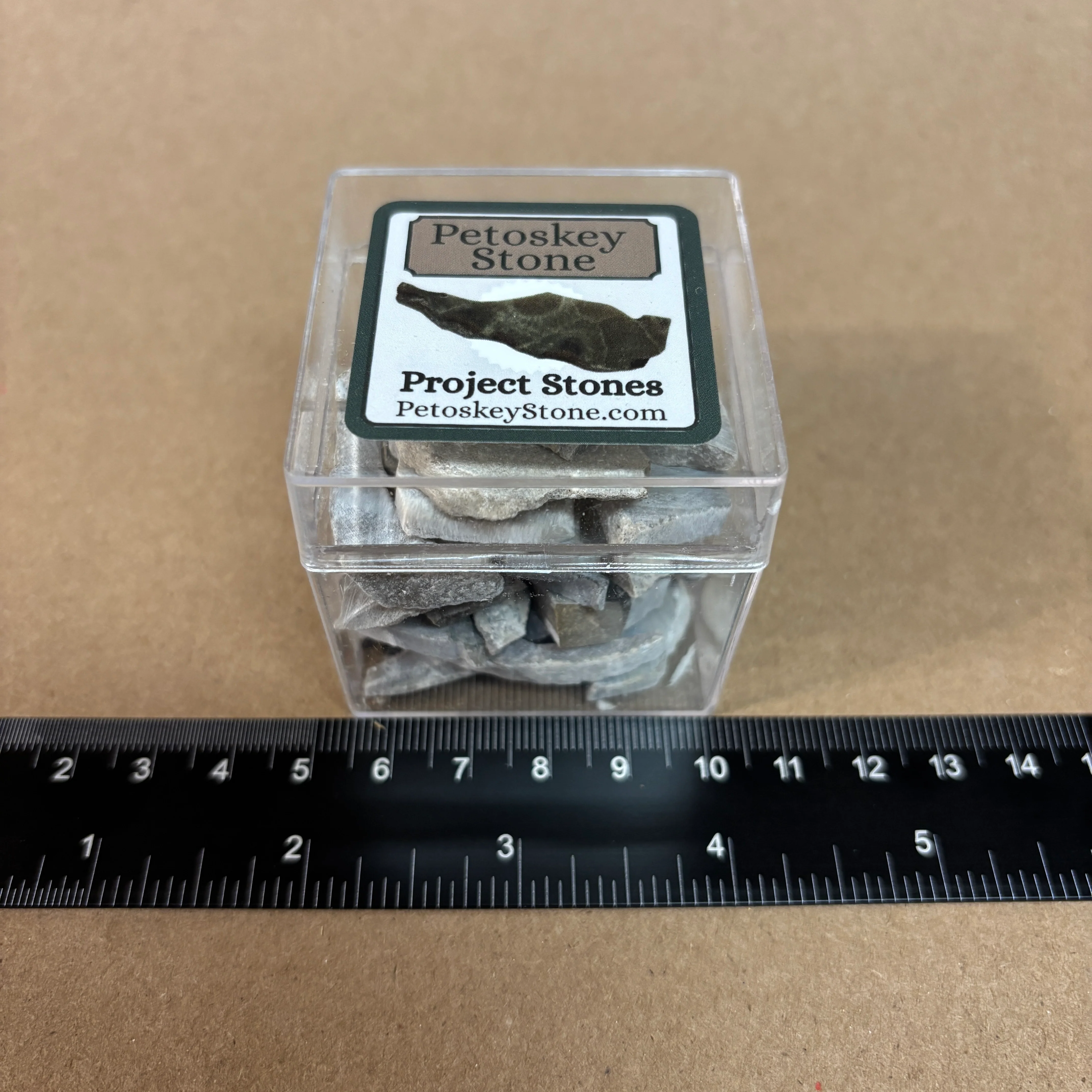 Petoskey Stone Project Stones - Image 5