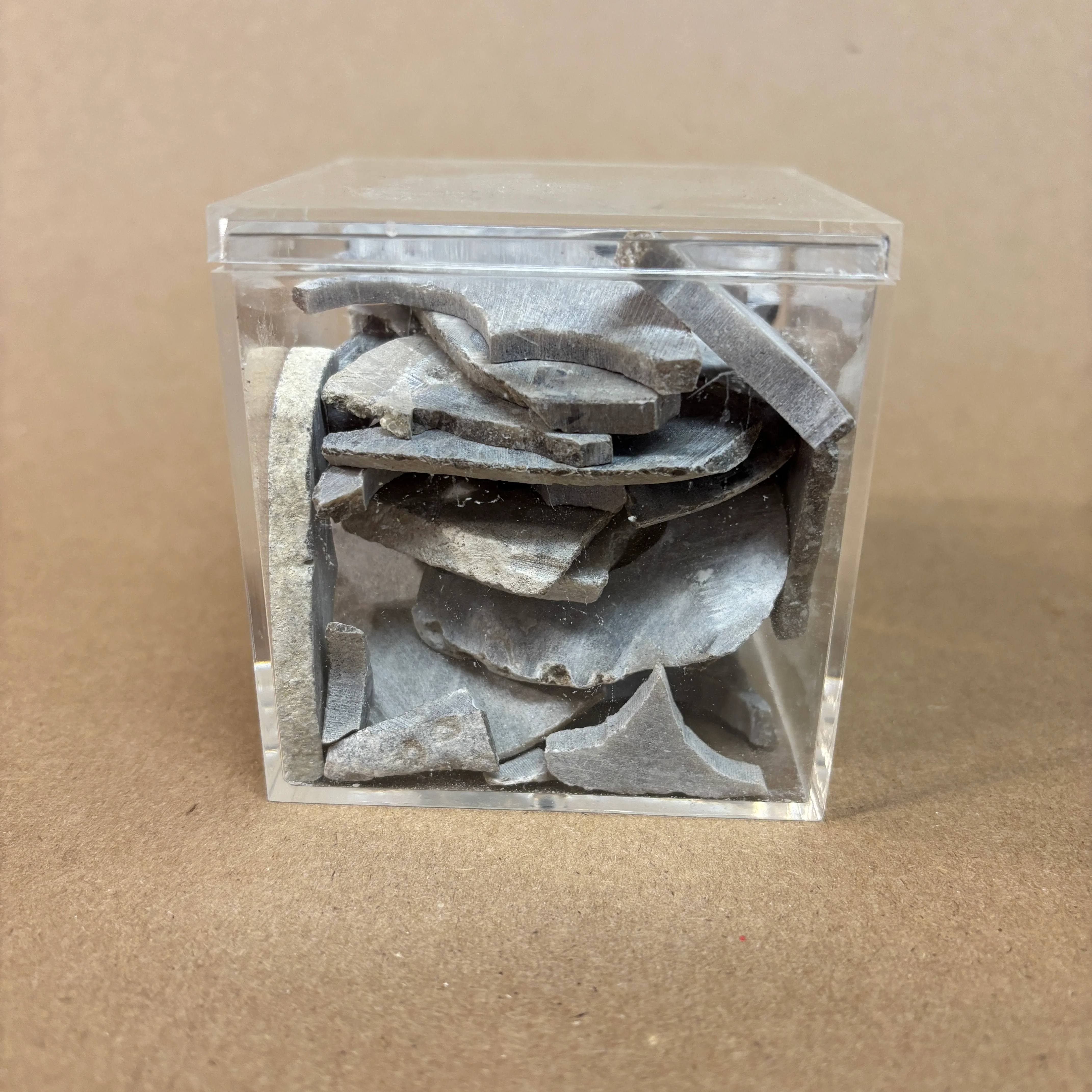 Petoskey Stone Project Stones - Image 6