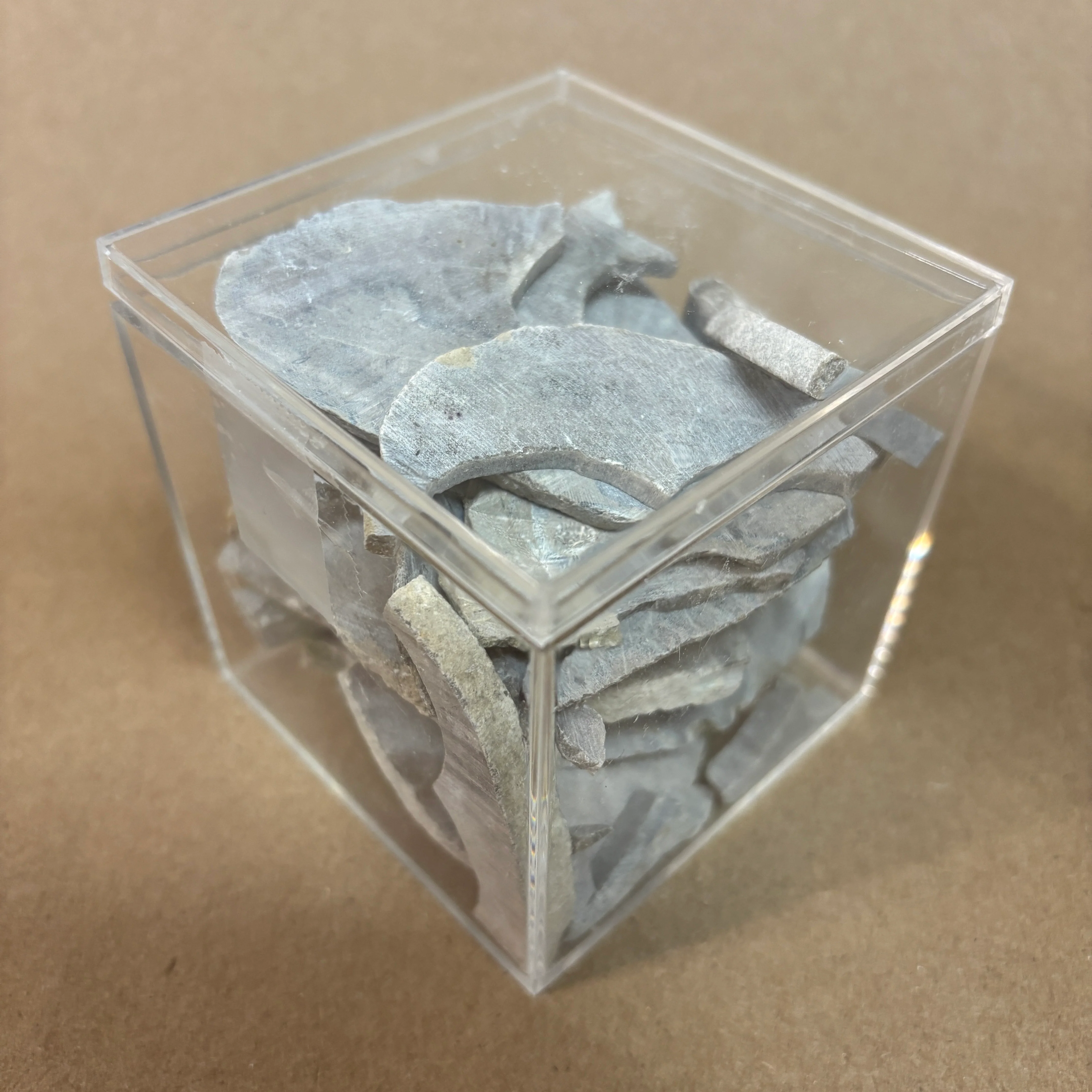 Petoskey Stone Project Stones - Image 8