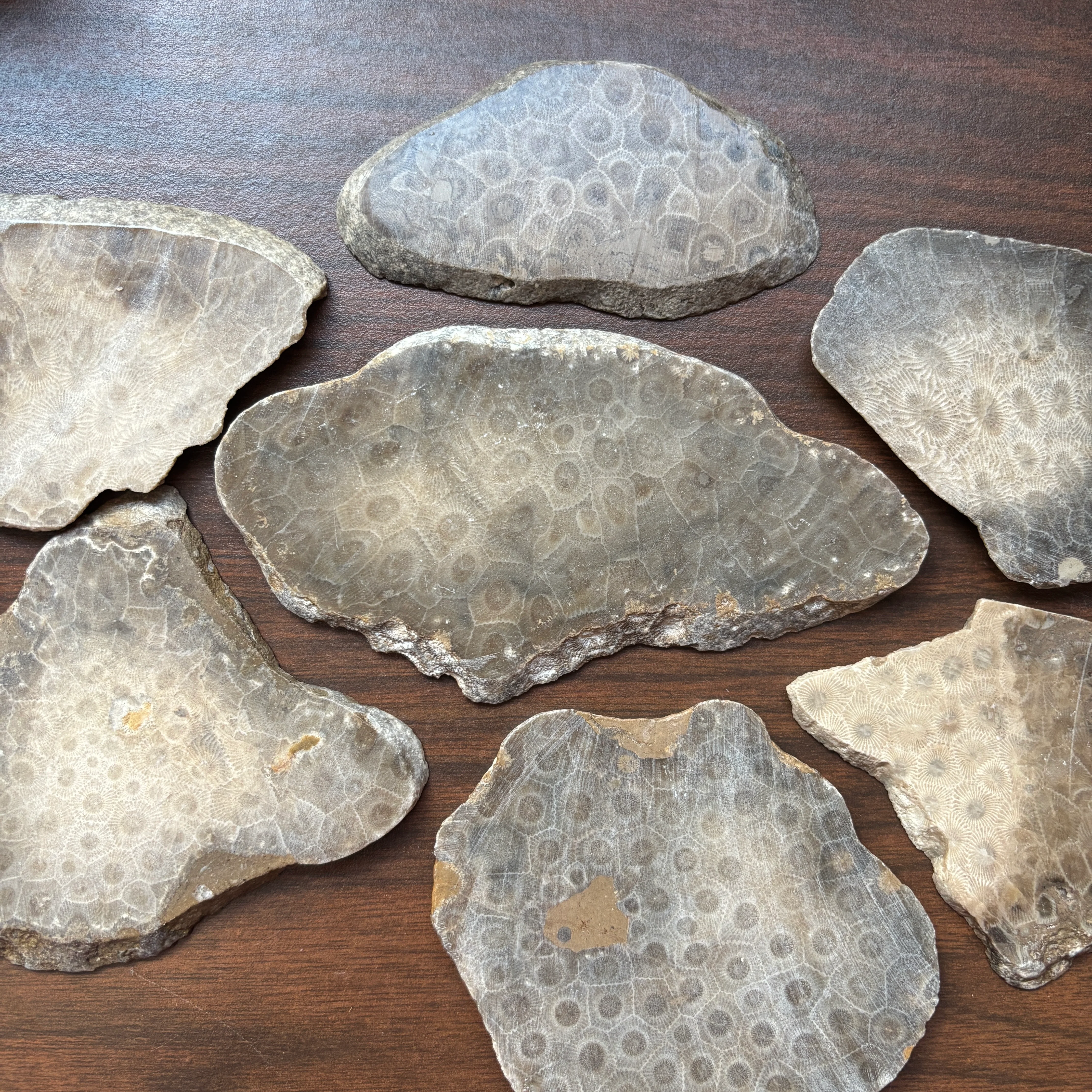 Petoskey Stone Decor