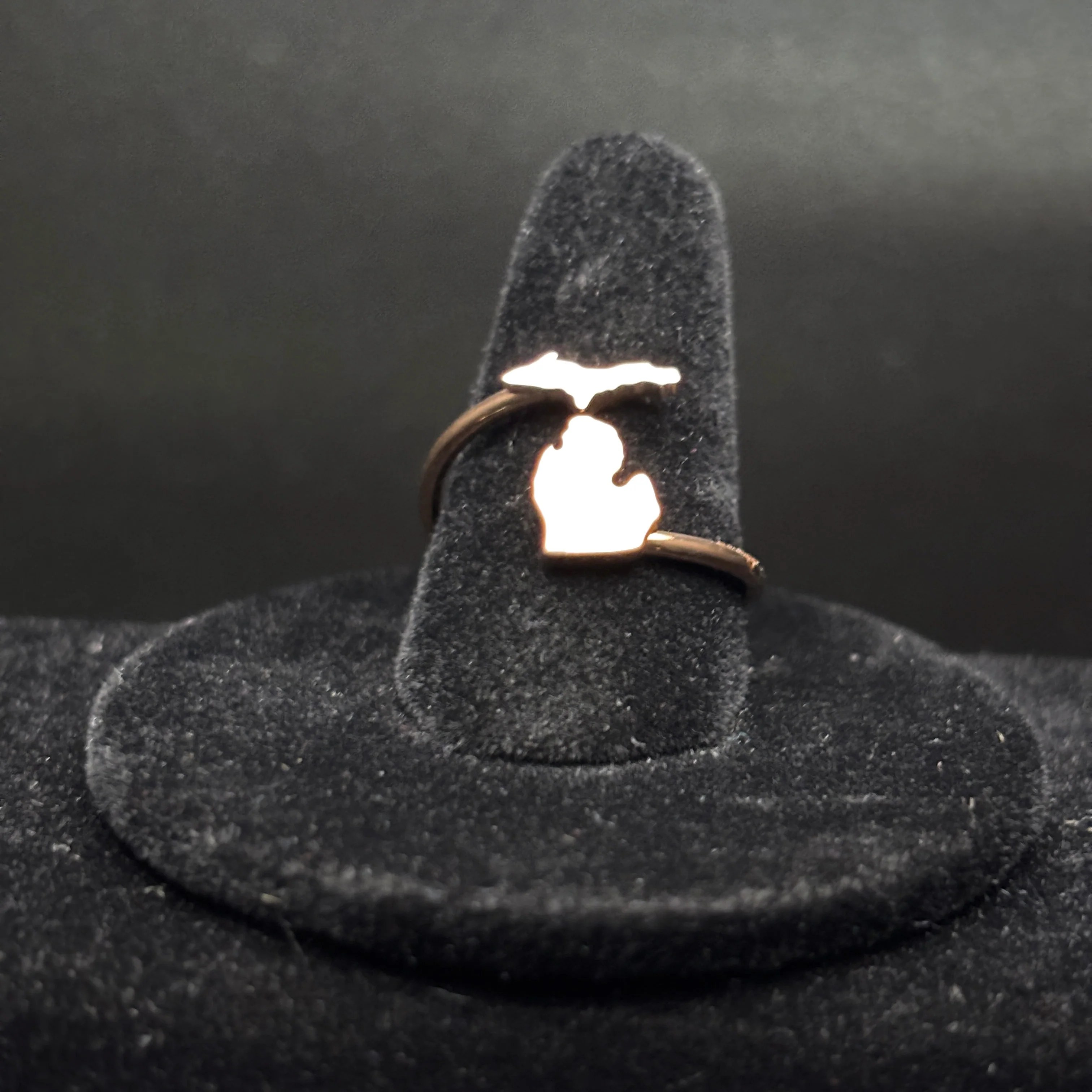 Upper and Lower Adjustable Michigan Ring - Image 9