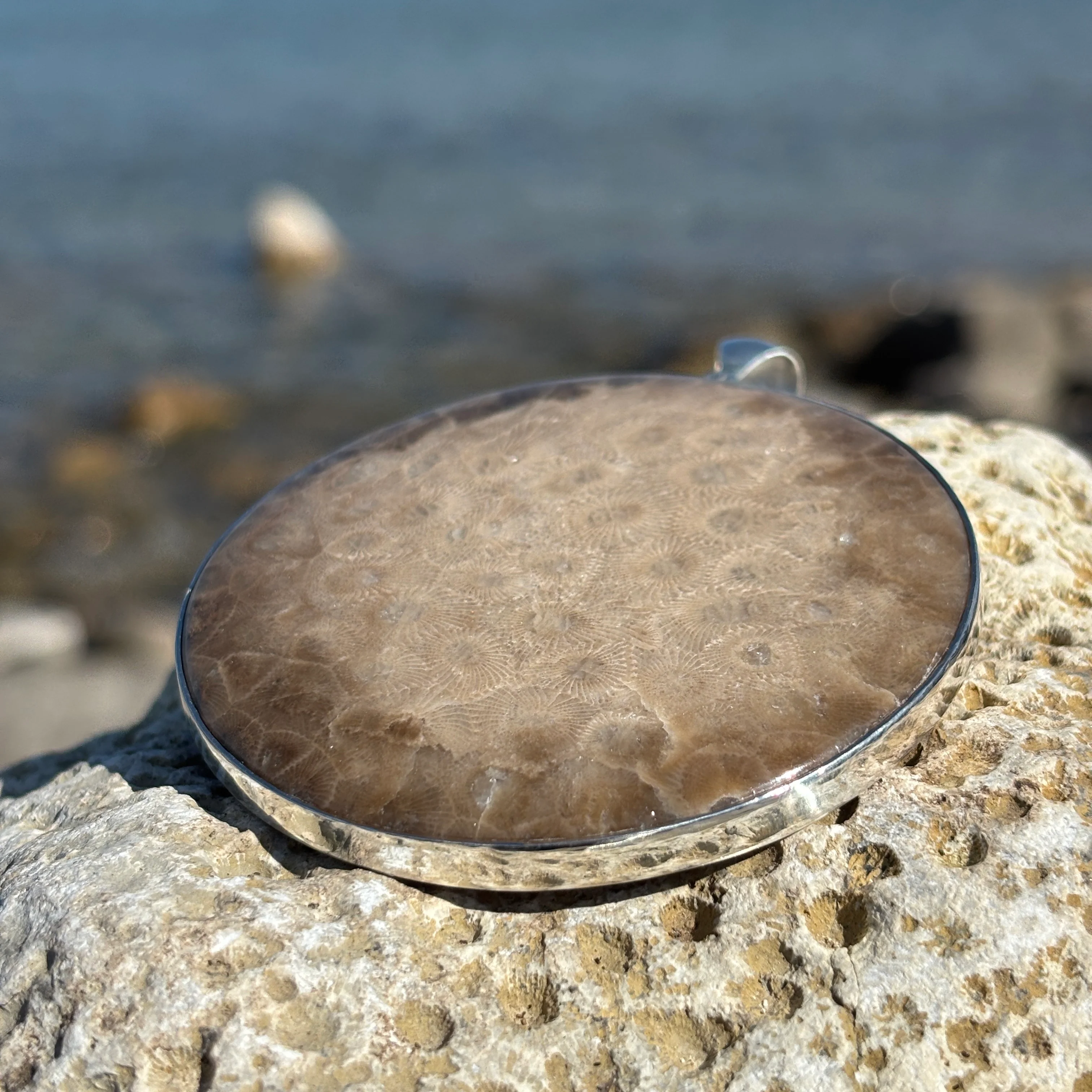 XL Petoskey Stone Necklace or Bag Charm - Image 3
