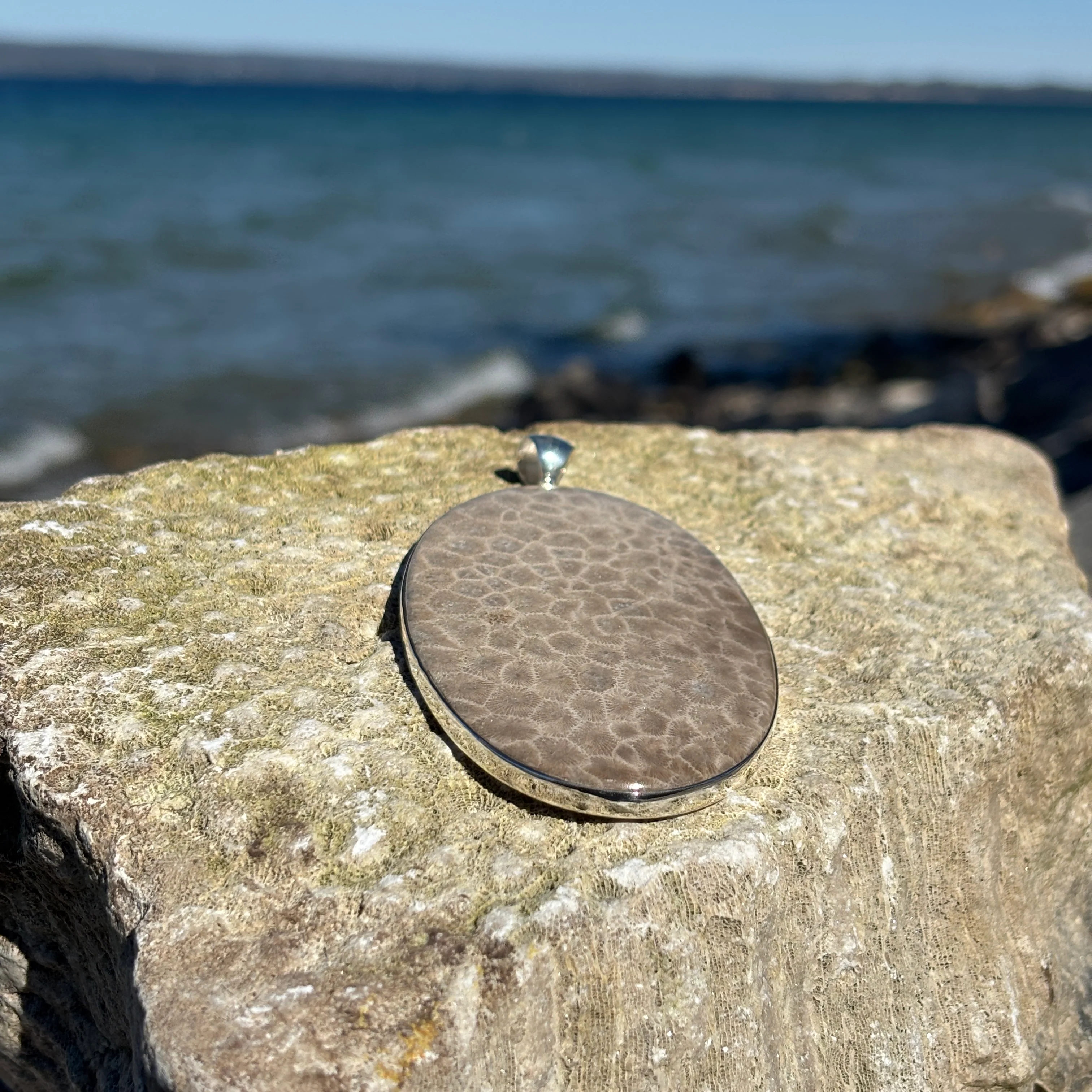 XL Petoskey Stone Necklace or Bag Charm - Image 4